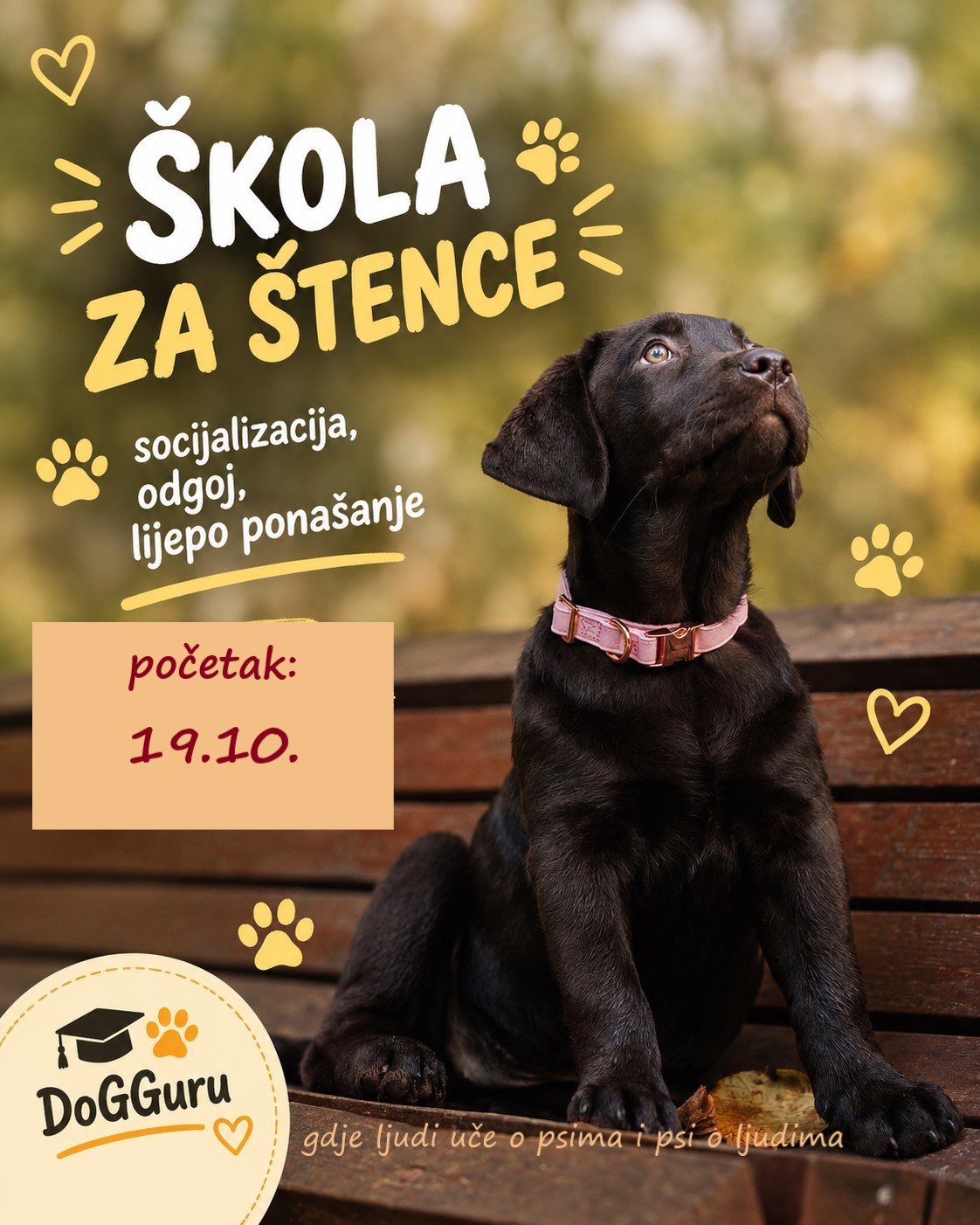 ŠKOLA ZA ŠTENCE - listopad 2026.