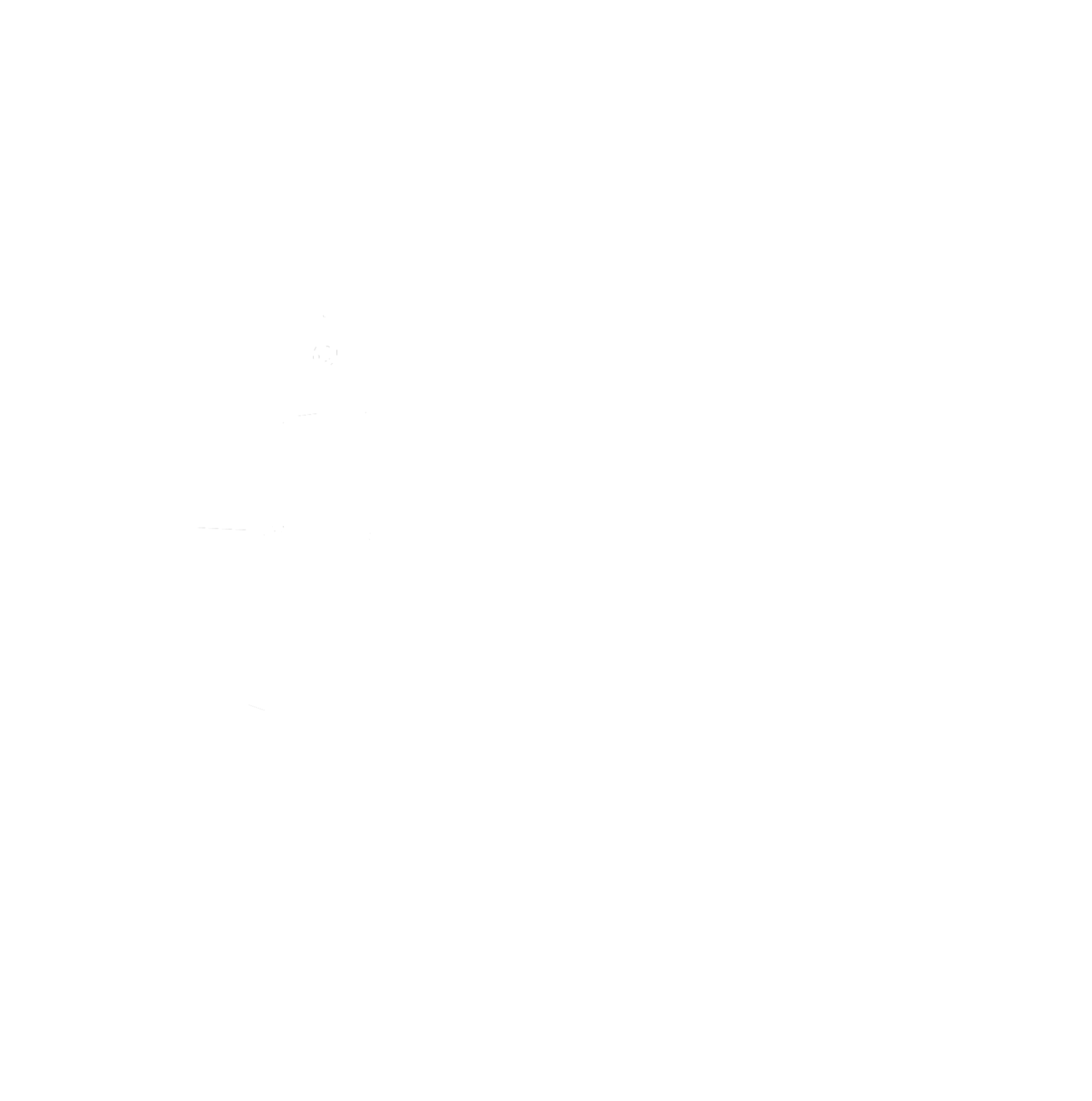 The Scotland Yard Soundsystem