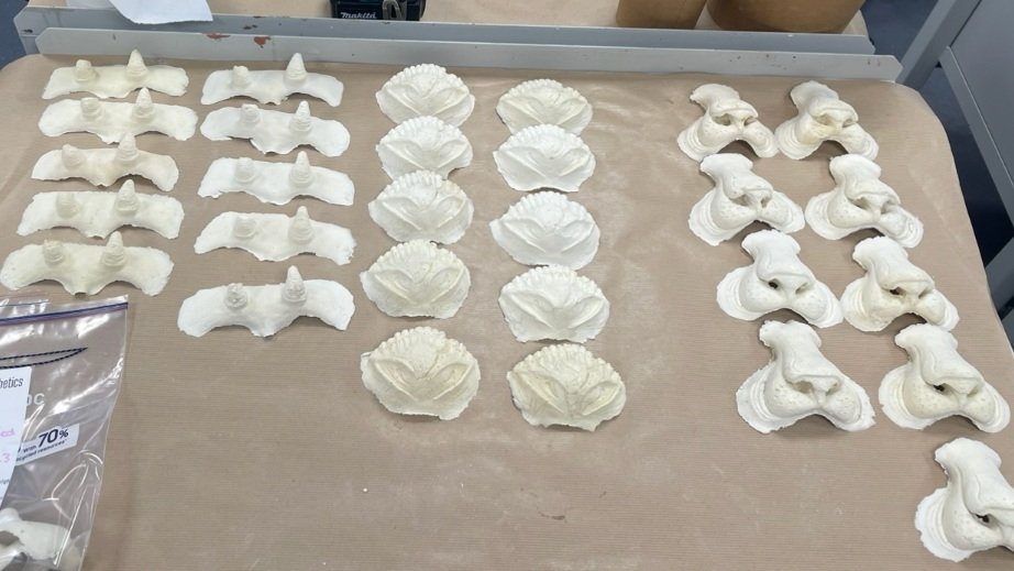 Foam Latex appliances for "The Lion, The Witch and The Wardrobe".
(August 2023)