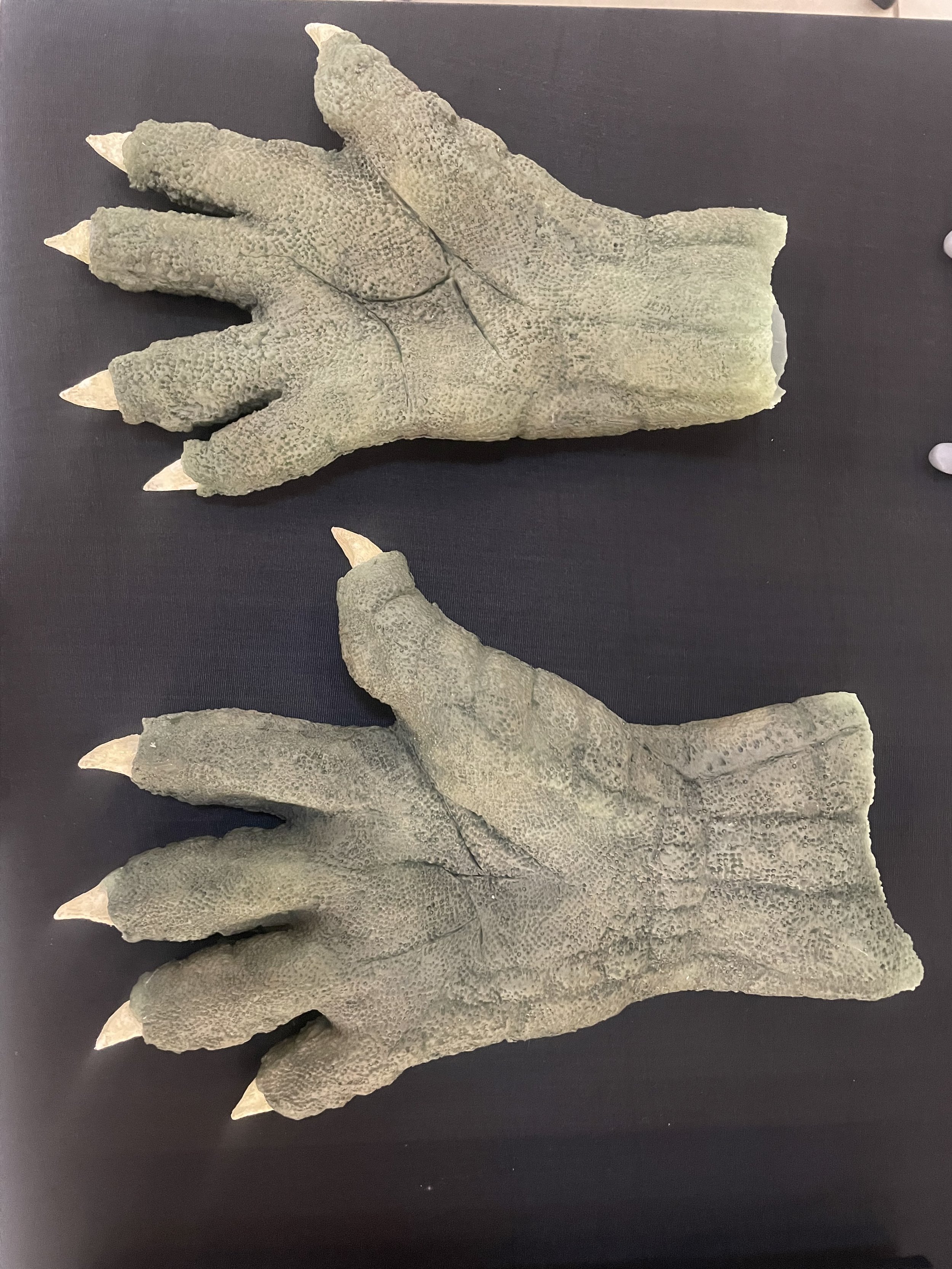 Croc hands
(February 2024)