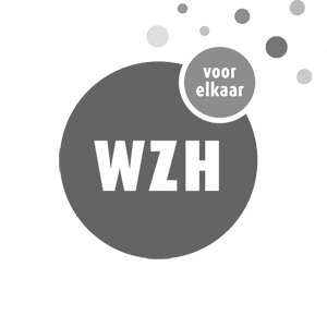 wzh.jpg