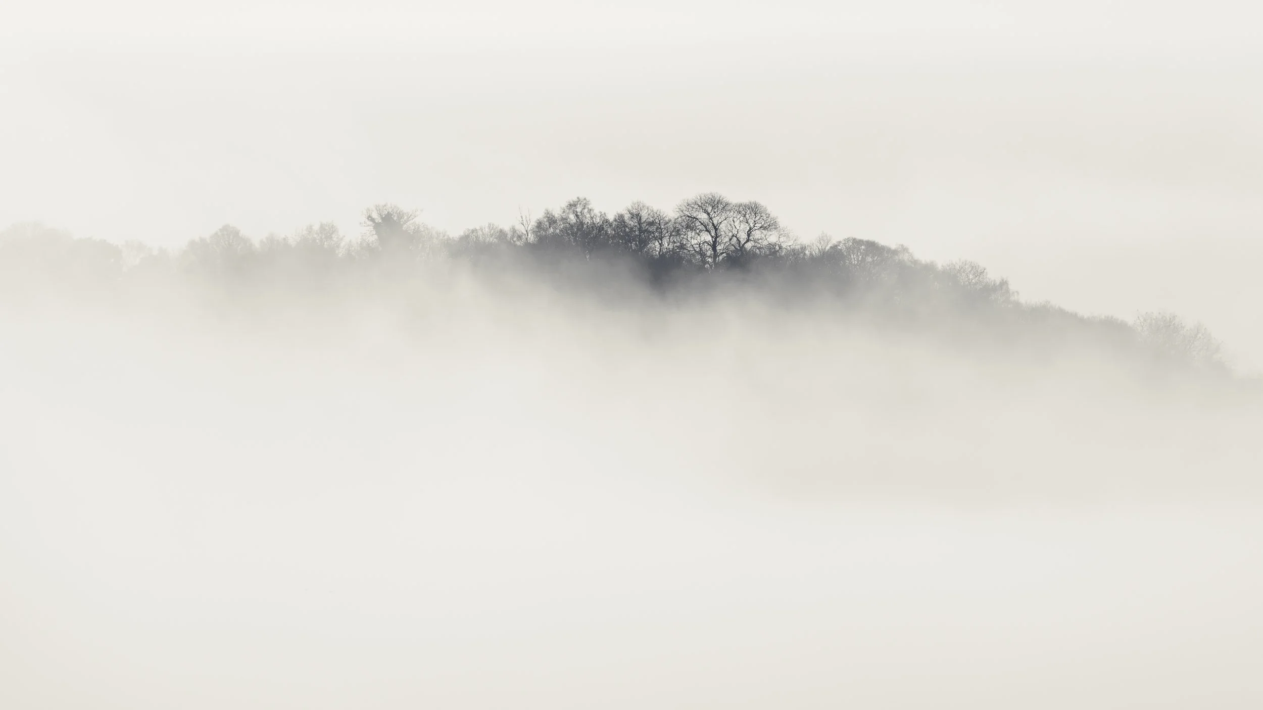 Mist over Reigate Hill