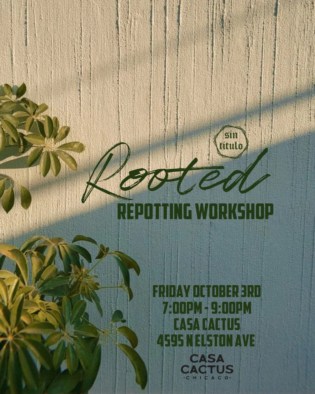 Rooted - Repotting Workshop Flyer Casa Cactus.jpg