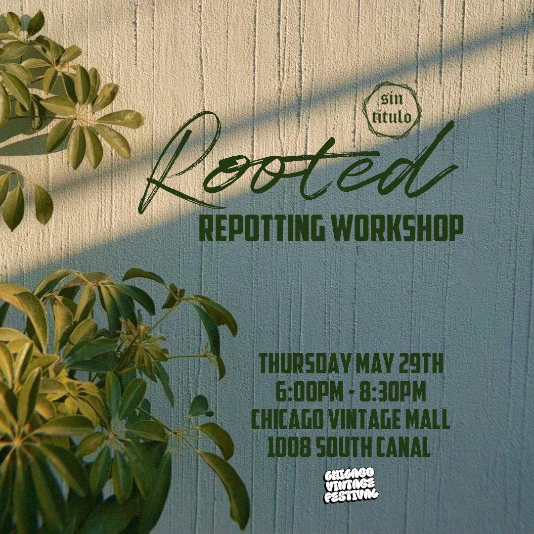 Rooted - Repotting Workshop Flyer 1x1.jpg
