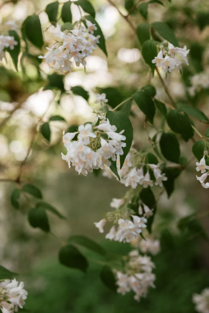 Mittsommerfest im Weingut Eymann