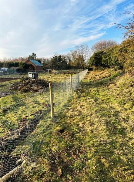 February 2021 - another view of essential rabbit proof fencing and infrastructure installed