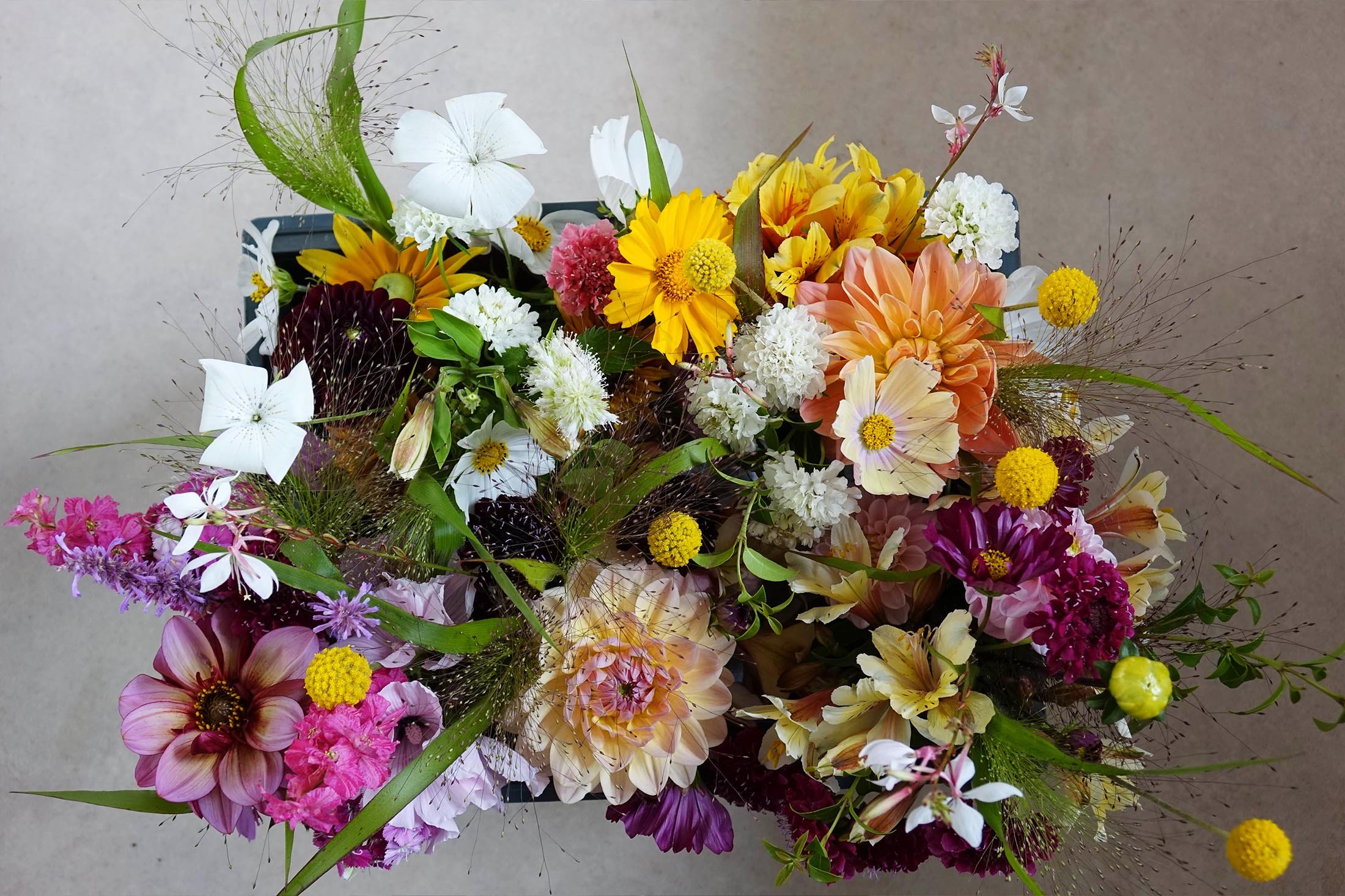 Mixed Flower Bouquet.jpg