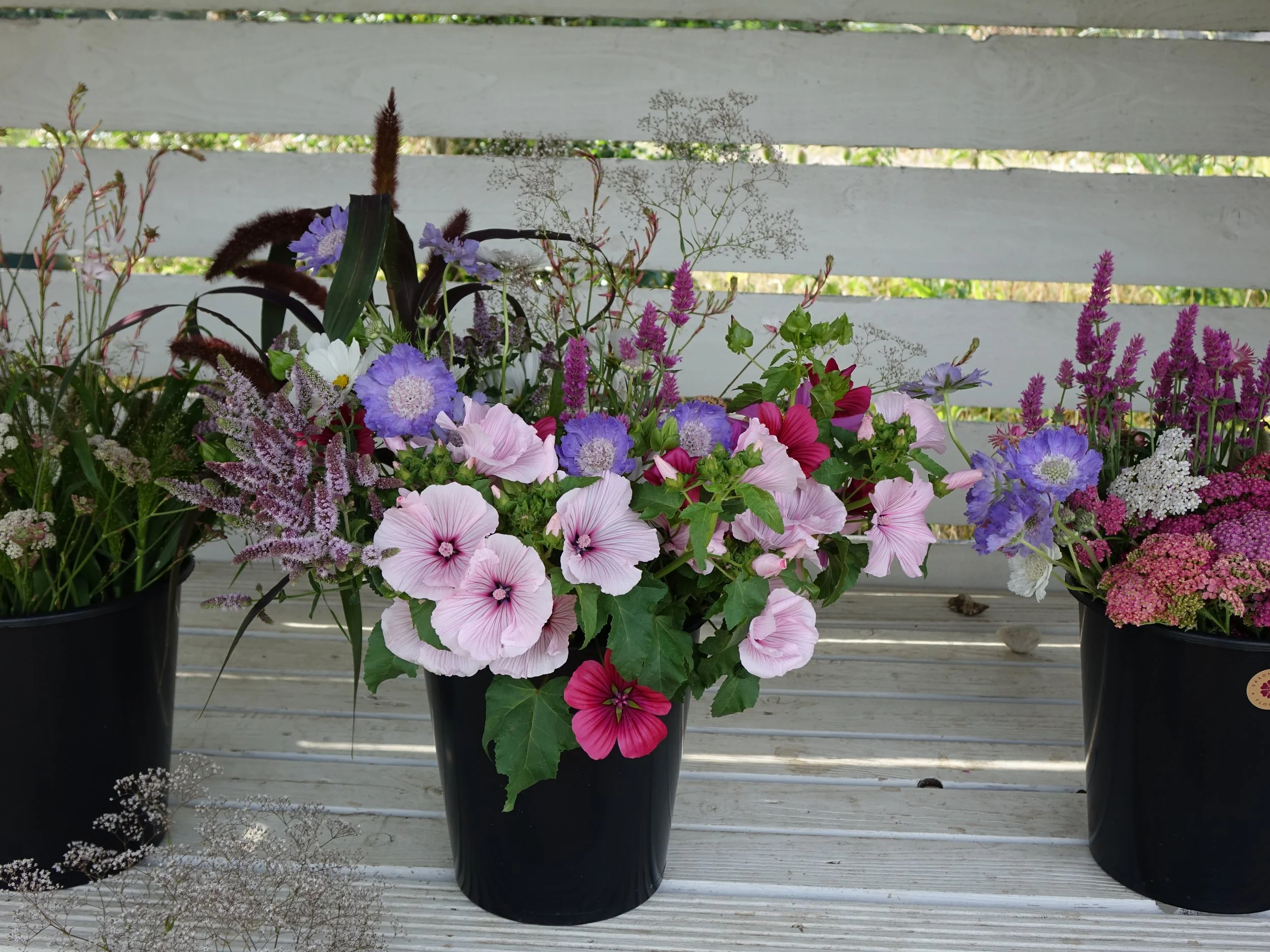 GROW your own flowers WORKSHOP, SATURDAY 11 april 2026, 10AM-12.00PM 