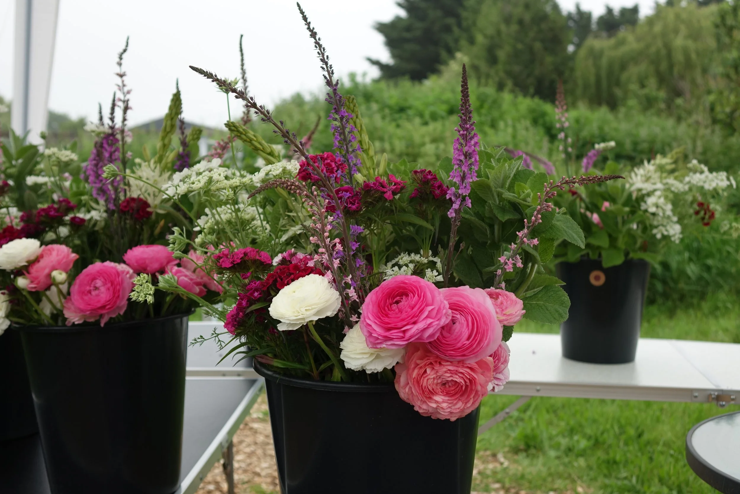 SPRING FLOWERS Workshop Saturday 16th May 2026, 10am-12.00PM 