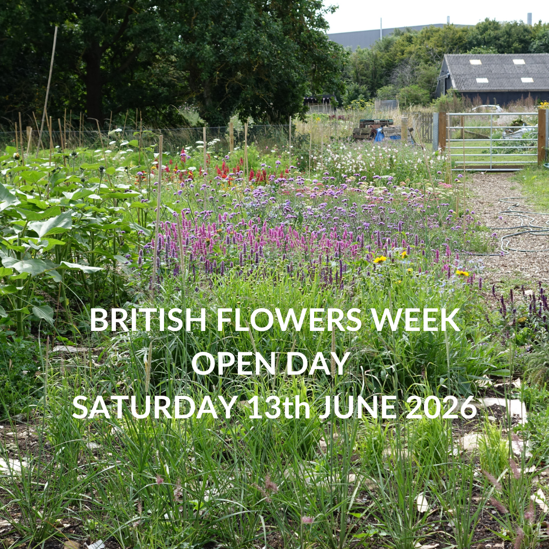 BRITISH FLOWERS WEEK OPEN DAY Saturday 13TH JUNE 2026, 9.30AM-1PM