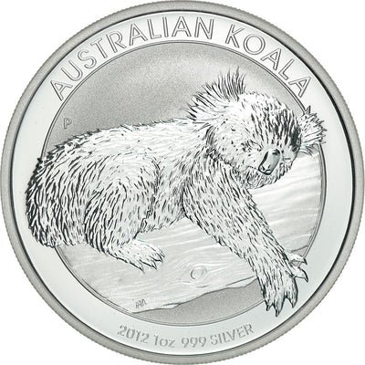 koala1.jpg
