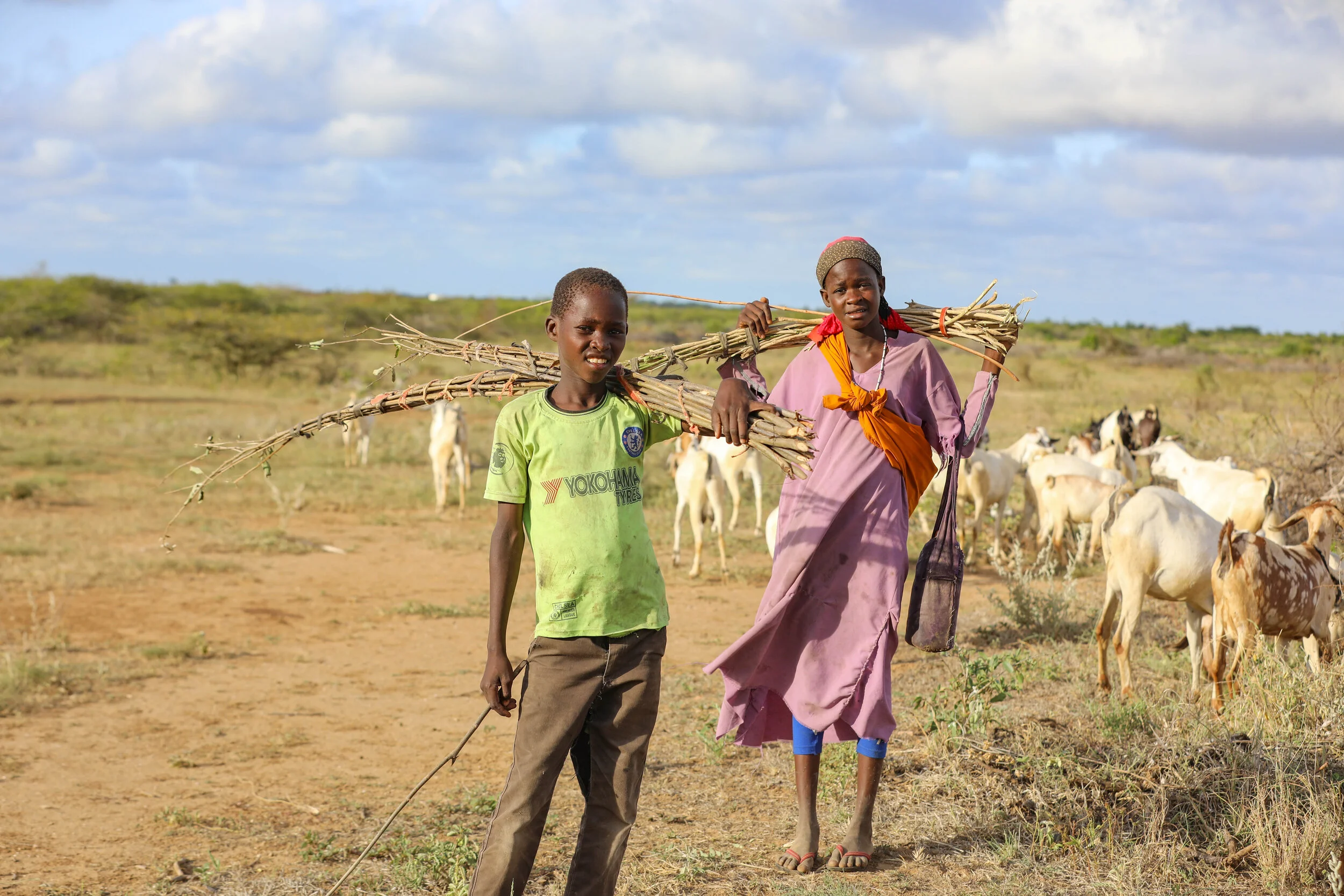 Ibrahim (7) holds on his shoulder sticks of a tree used to discipline Islamic Madrasa learners in his village, while Batulo (Right)  carries on her shoulders, a bundle of Salvadora Persica twigs used as a toothbrush commonly refer to in Somali, Cadey