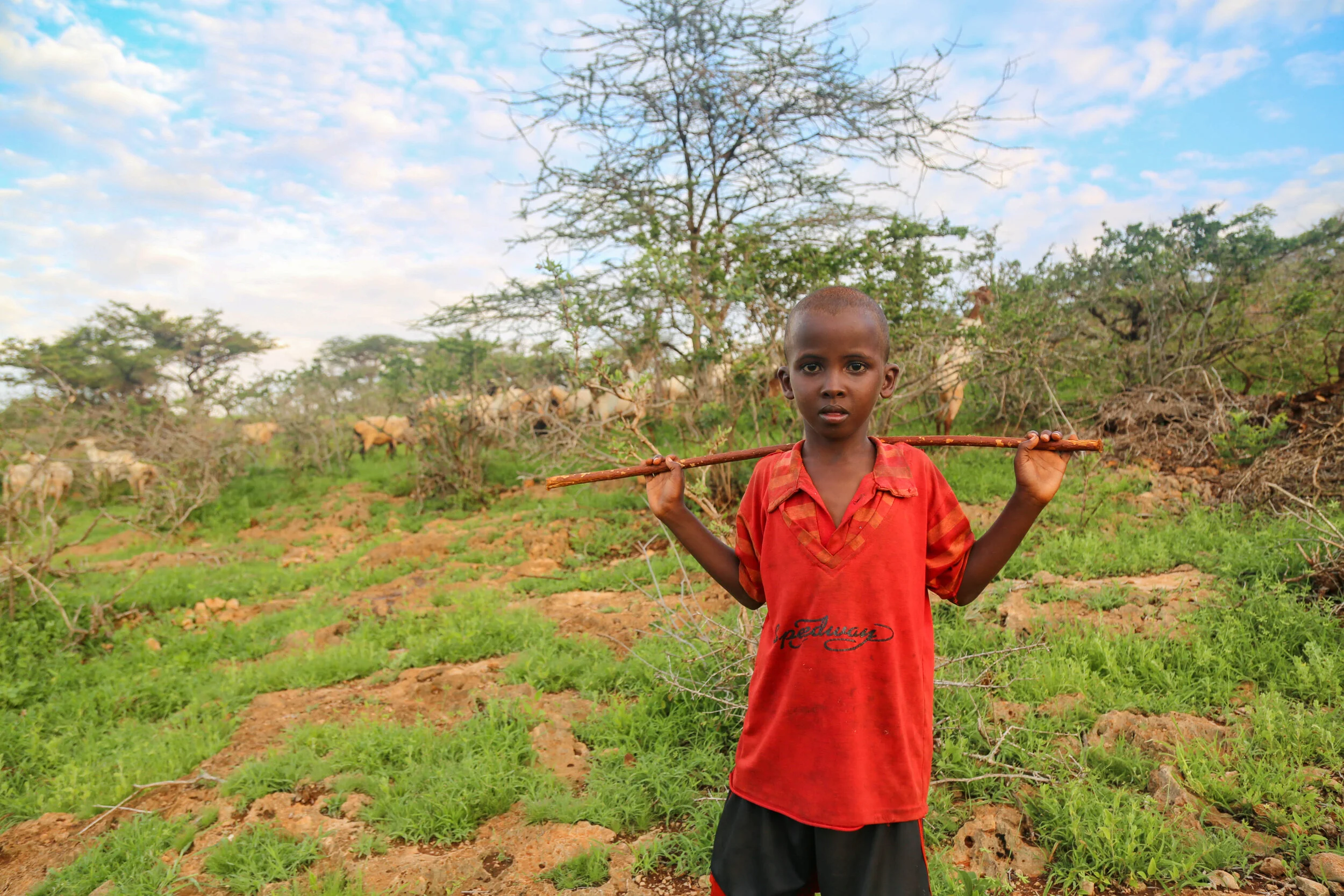 Seven years old Salat looking after his goats and sheep, Somali nomad kids take the responsibility of herding while at the tender age, some believes this is where leadership starts. 