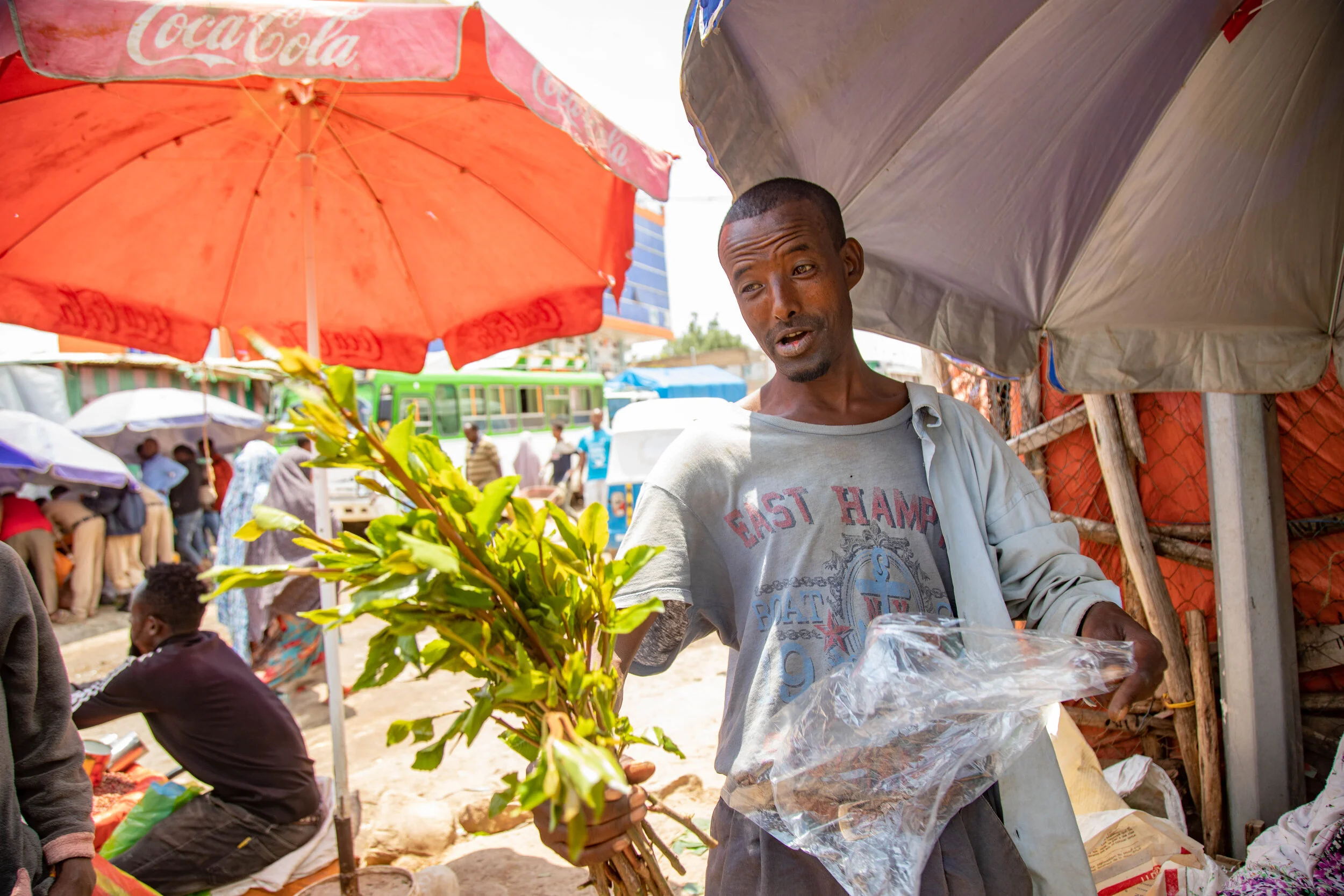 A man ecstatically looks at fresh miraa leaves he just bought. 