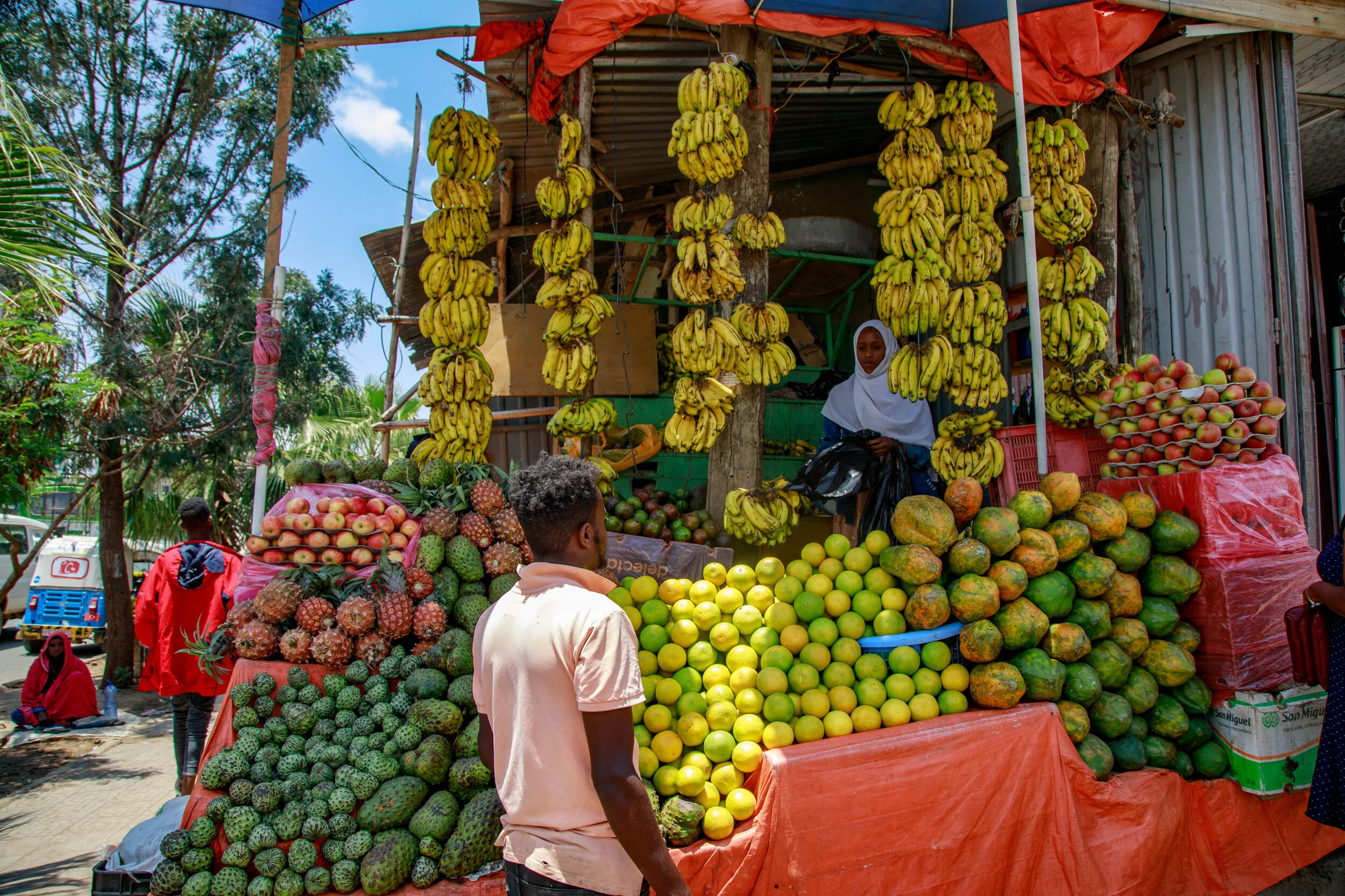 A lady selling different kinds of groceries at the heart of Jigjiga near Sayyid-ka Monument.