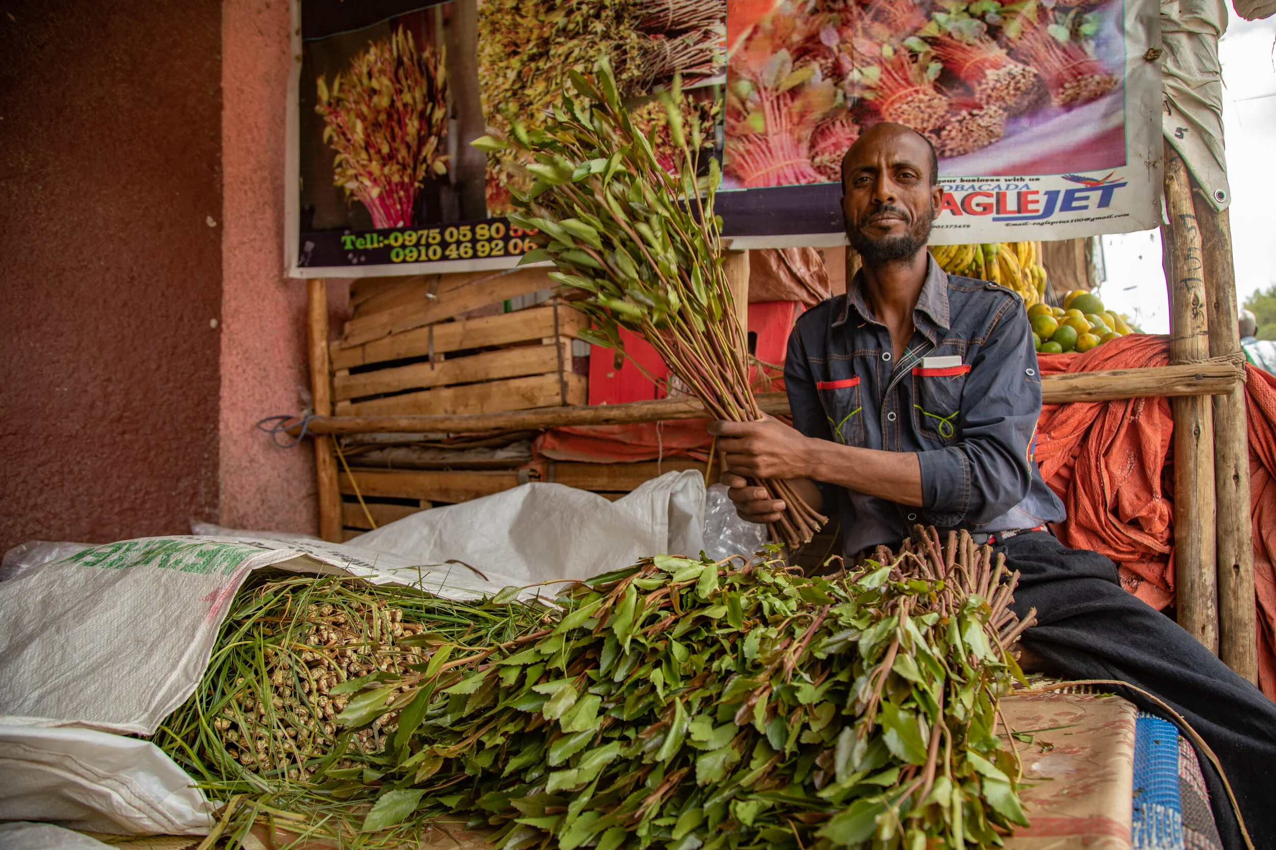 A man holds leaves of Miraa in Jigiga, Somali Region of Ethiopia.