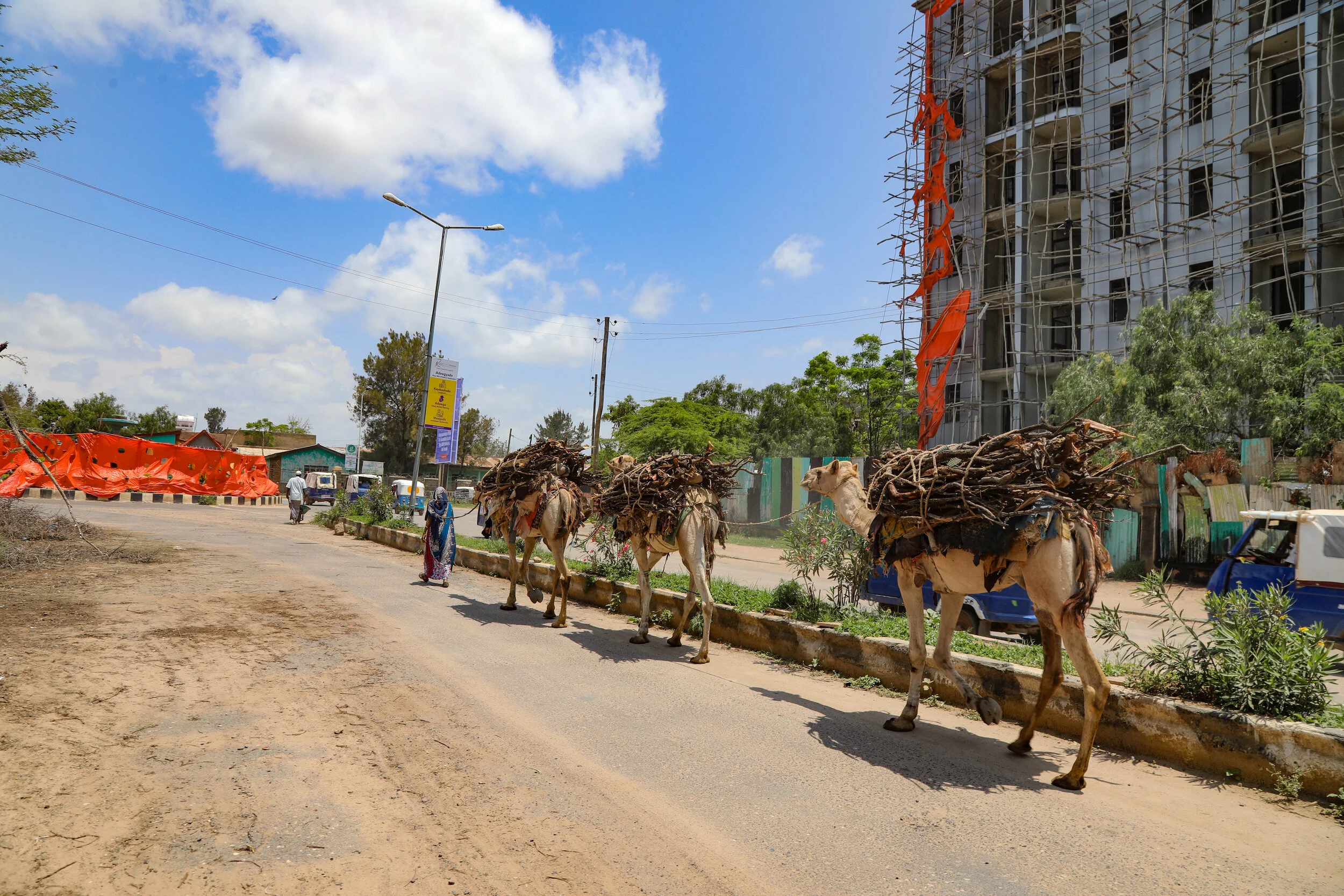 Street scene with construction site, goats carrying load, people walking, trees, and a building under construction with scaffolding.