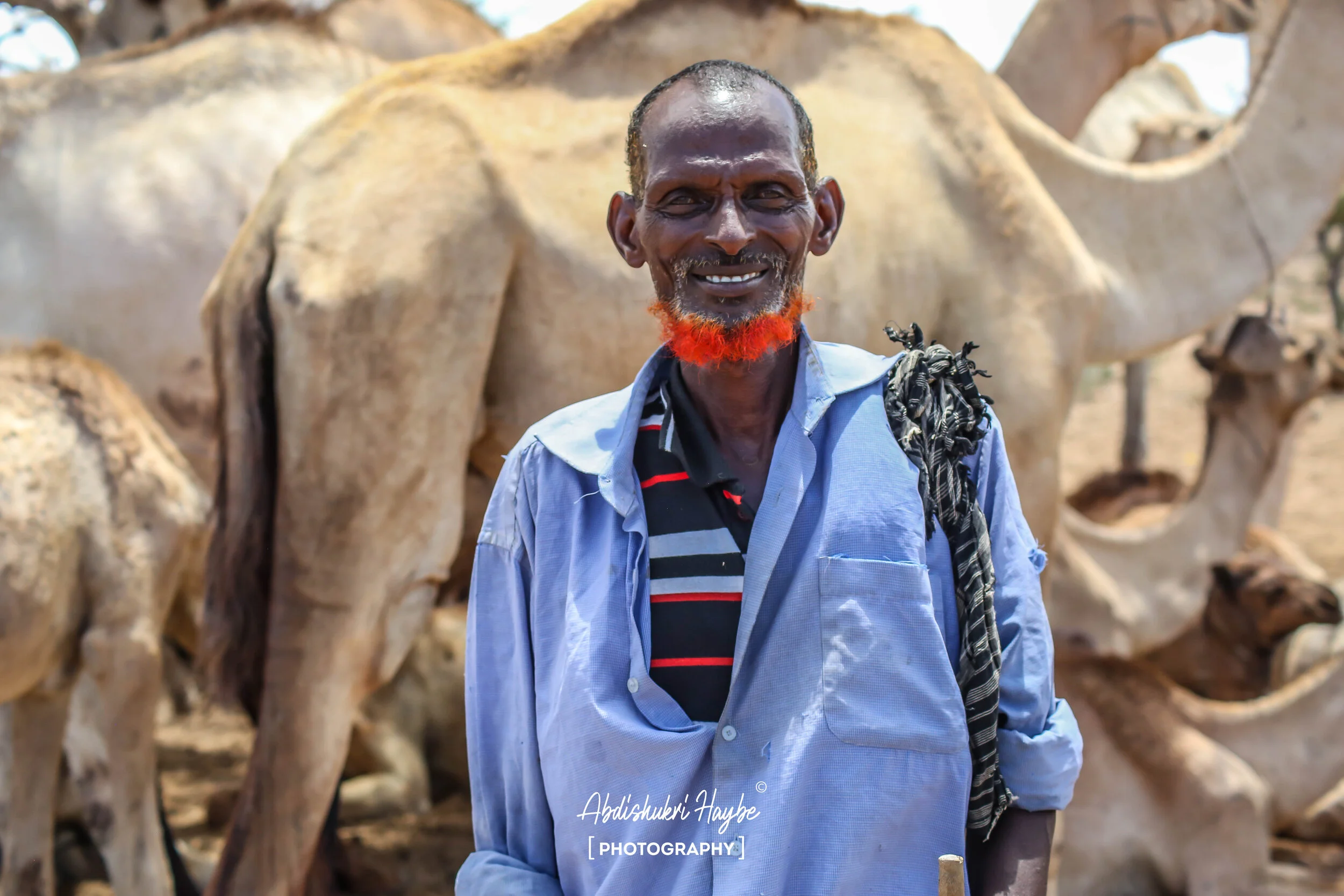 " I look after my camels in the land between Dawa Somalia Region of Ethiopia and Wajir of Kenya to the vicinity of Kismayo Somalia and up to Elbarde of Bakool Region. No one asks me for ID/Passport and I'm citizen of any land where my camel can get w