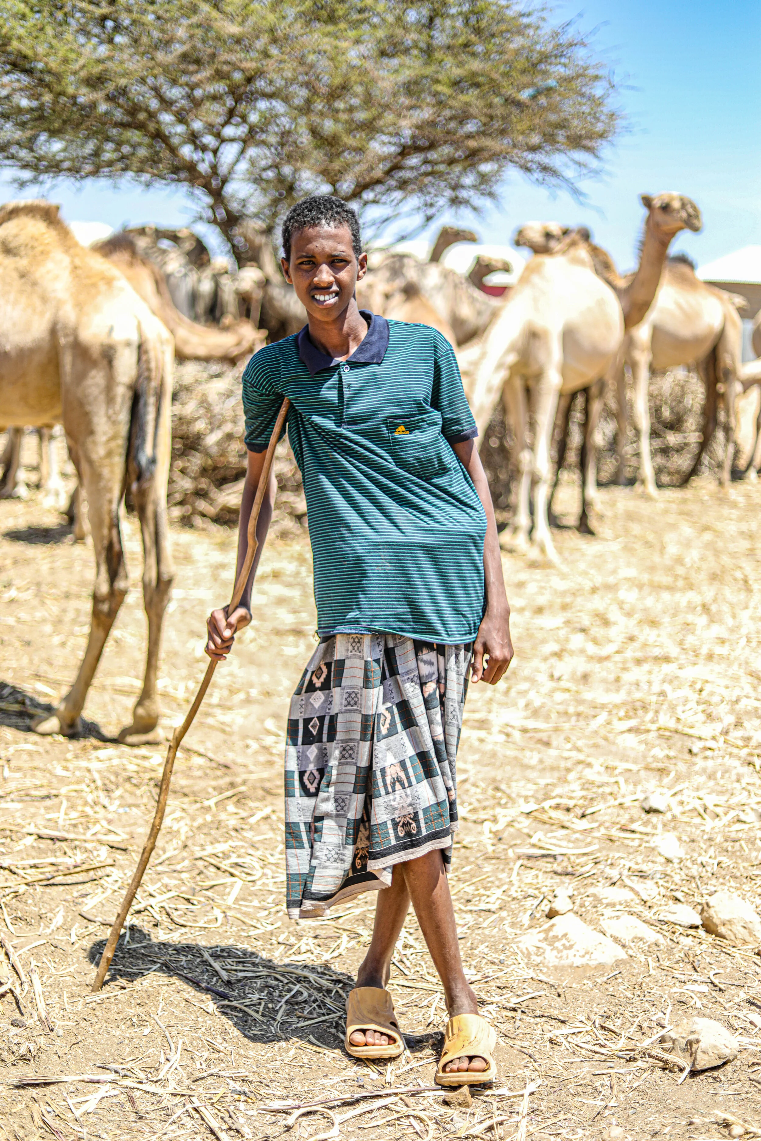 A young Somali nomad stands infront of his camels in Baidoa lifestock market.