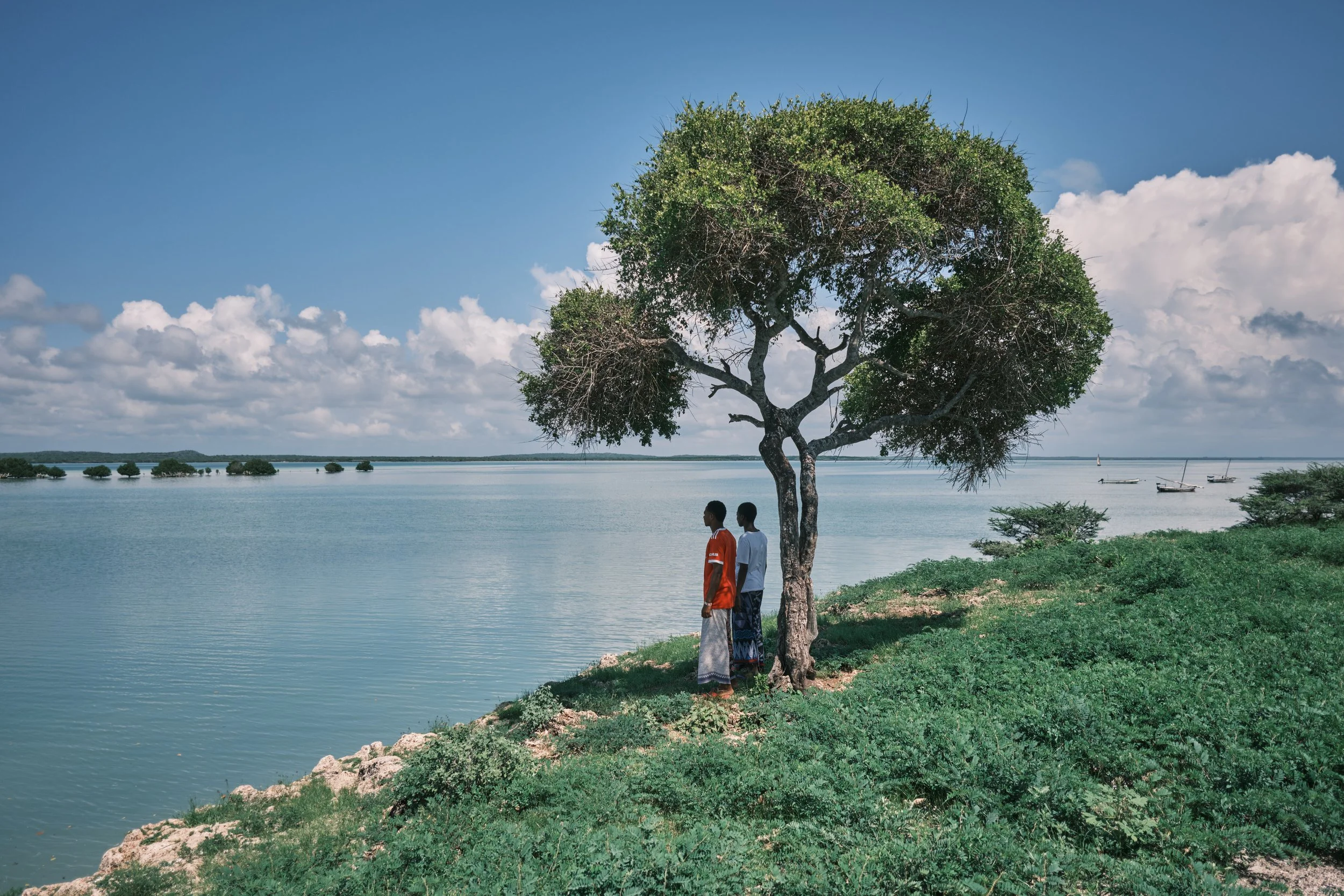 A scenic view of a lake shoreline with a tree in the foreground. Two children stand beneath the tree, looking at the water. In the background, there are small boats on the lake and a partly cloudy sky.