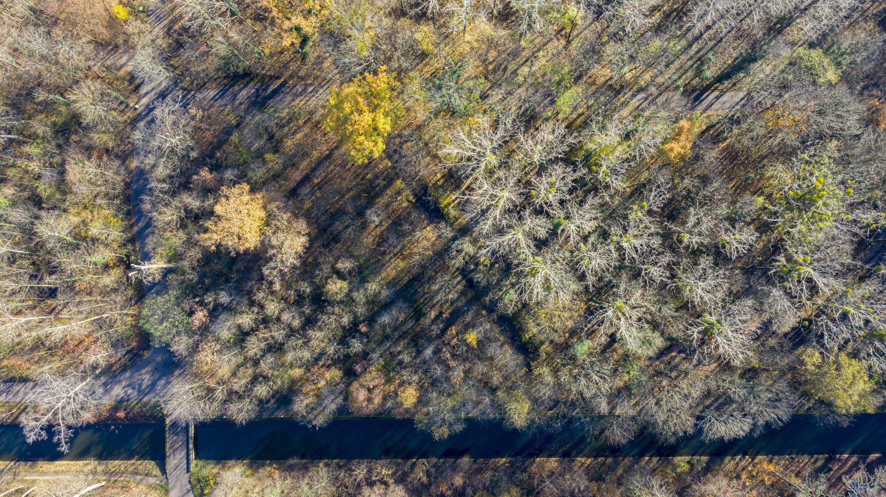 zweiwest Drohnenfotografie Natur