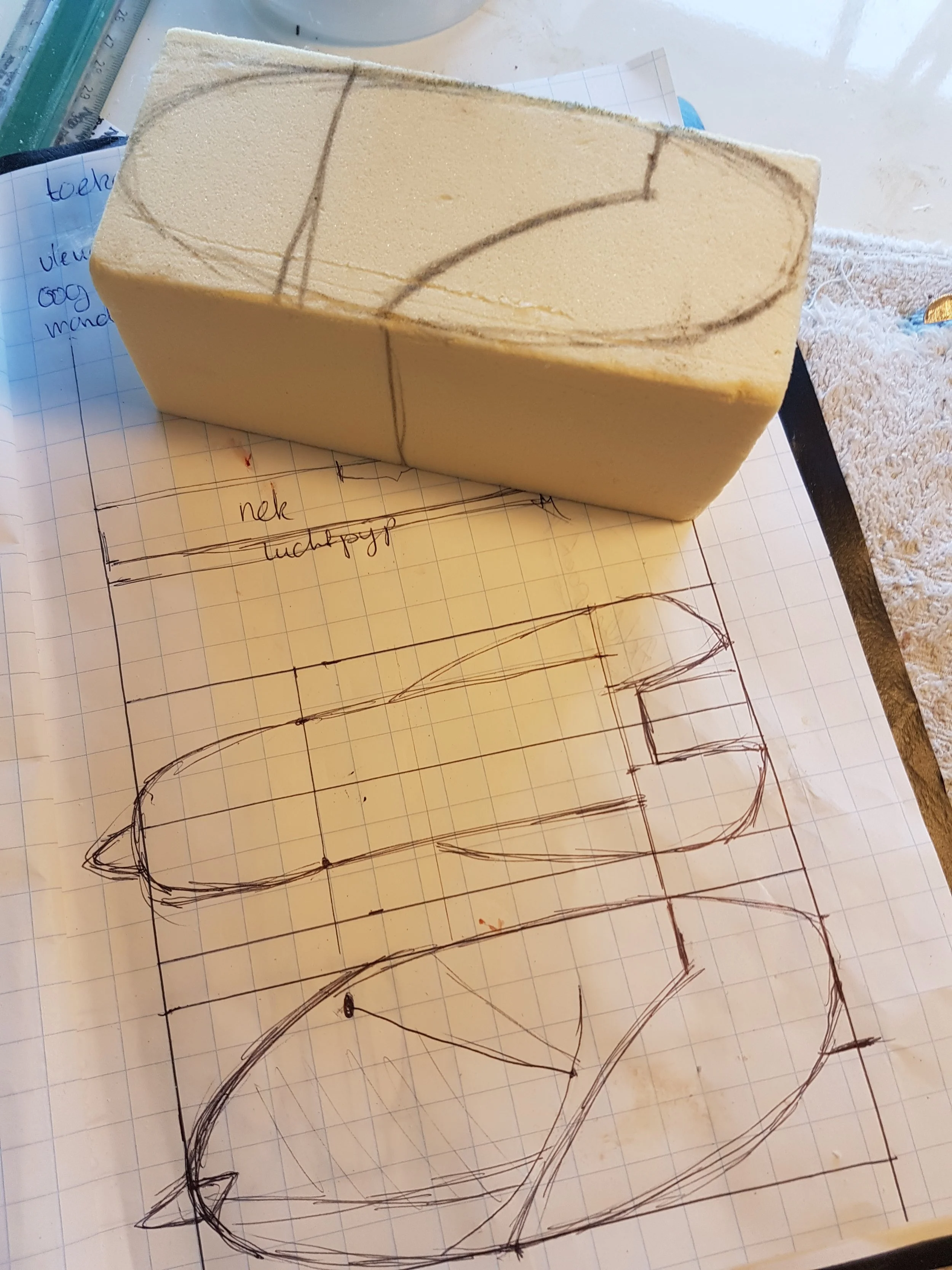 20180504_142419.jpg