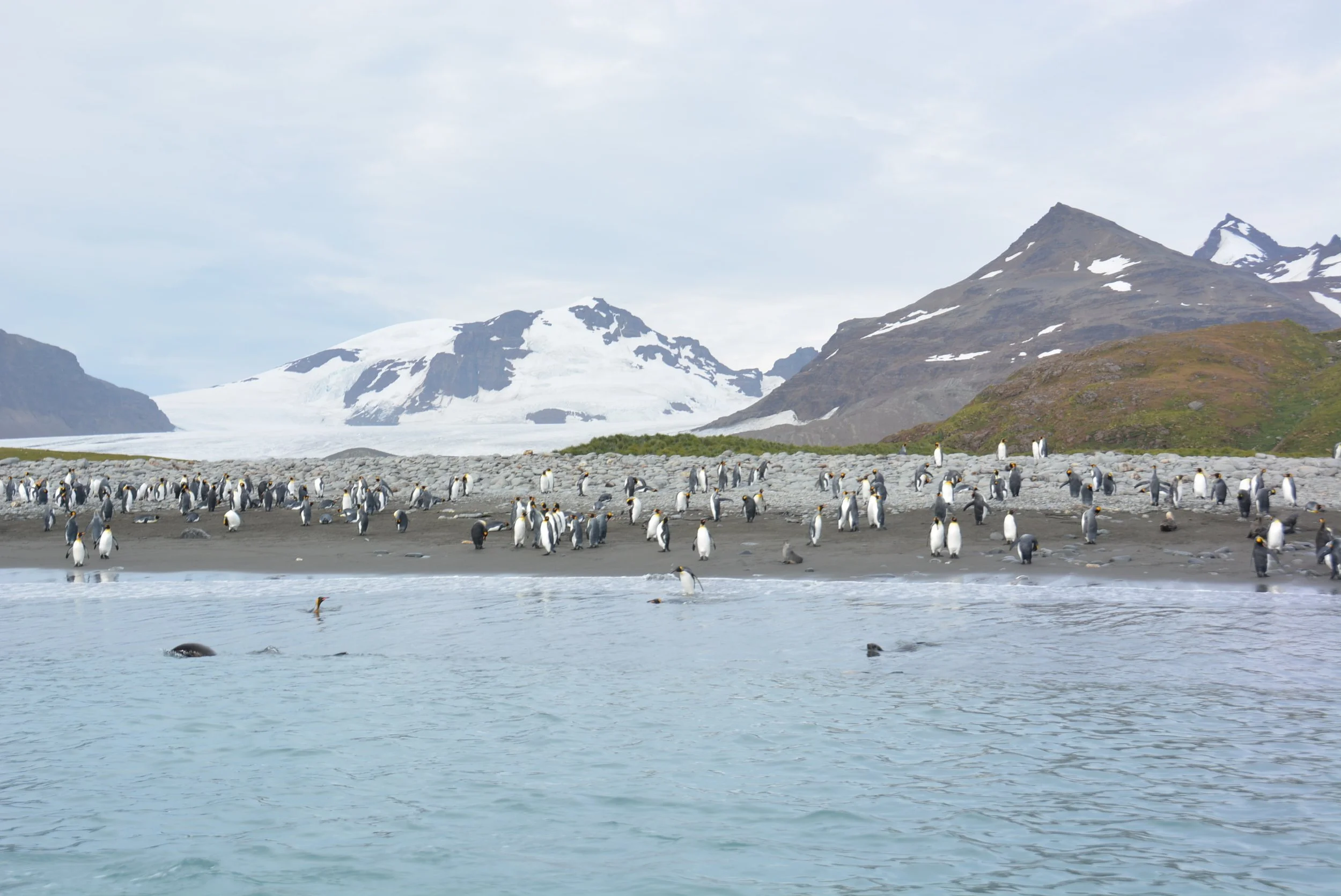 DSC_1317.jpg