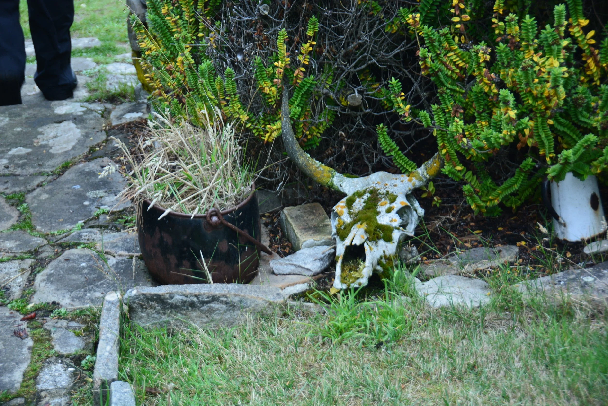 DSC_0153.jpg