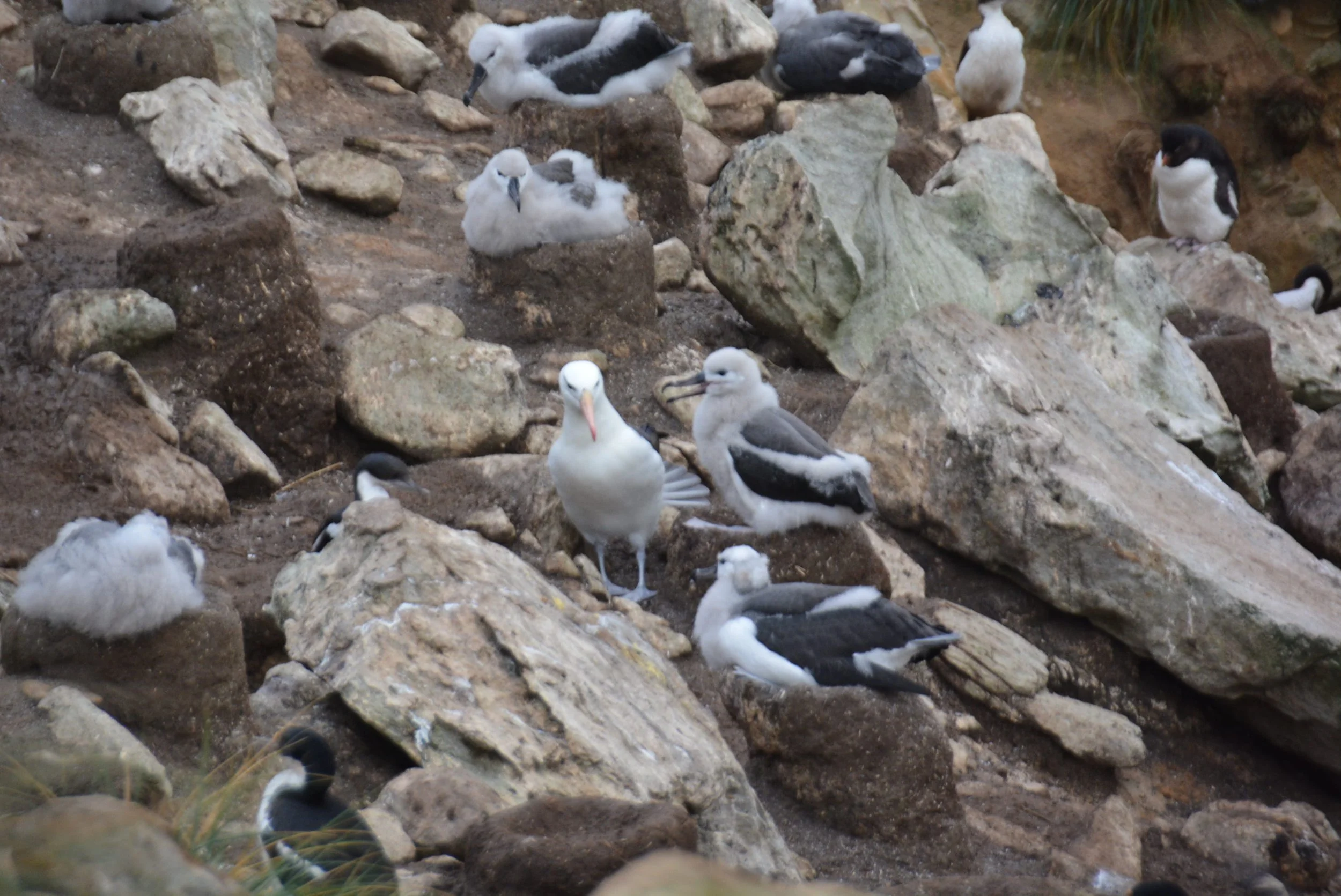 DSC_9831.jpg