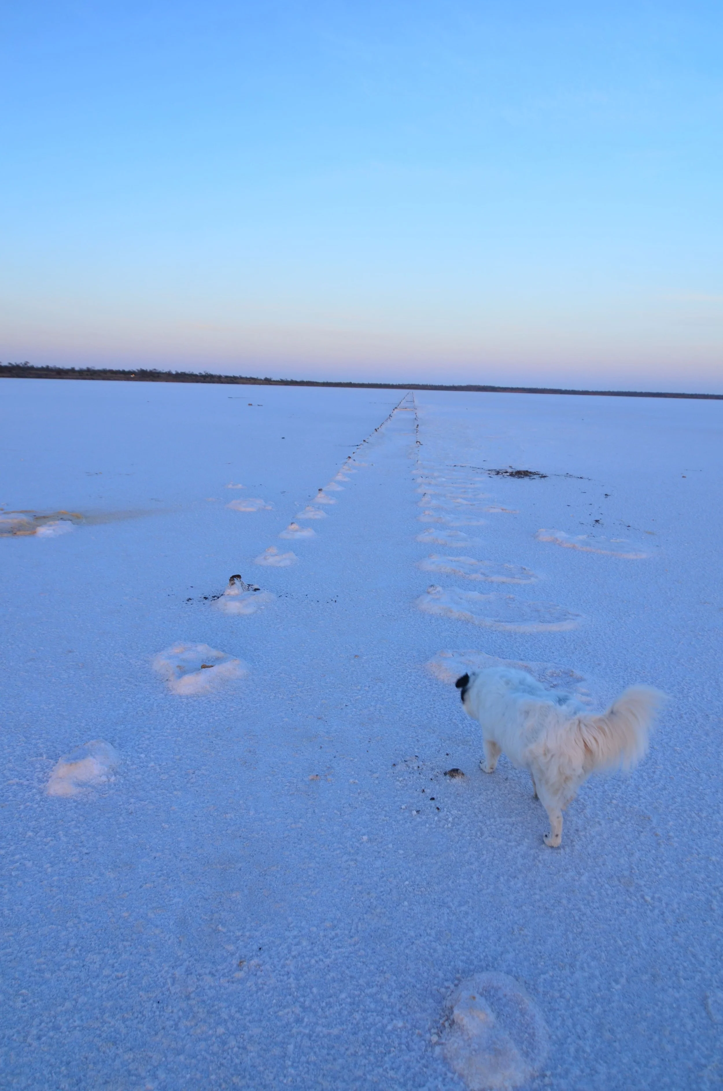 Lake Hart and the beautiful Missy, she loved the salt lake. Her heart belonged in the desert.
