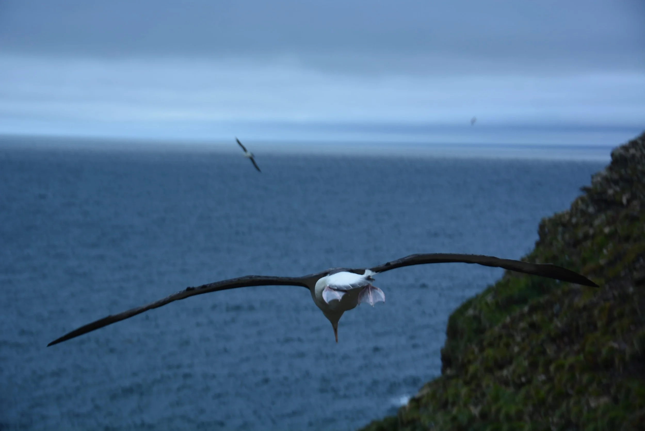 DSC_0105.jpg