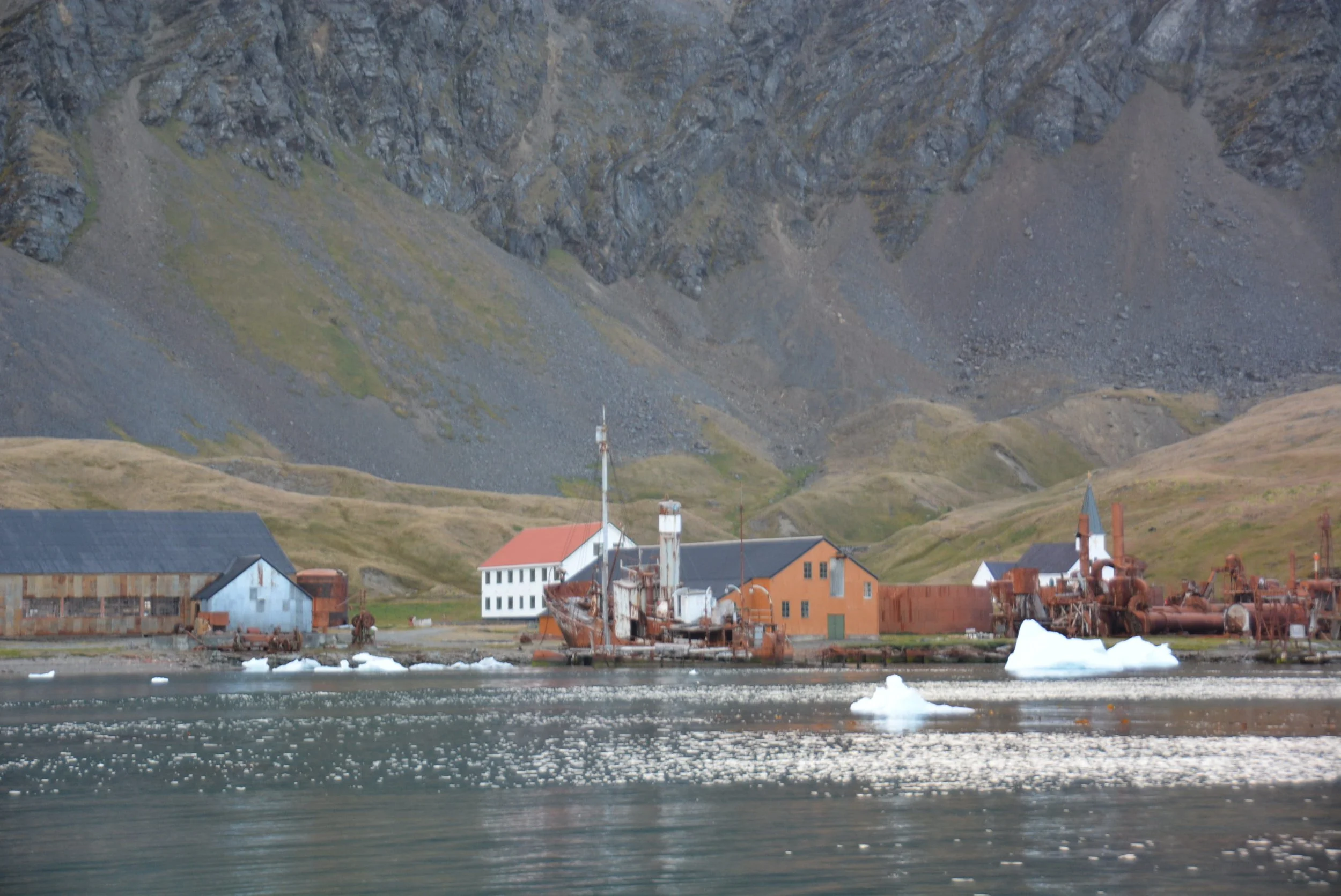 Grytviken, old whaling settlement now a museum and British Antarctic Station