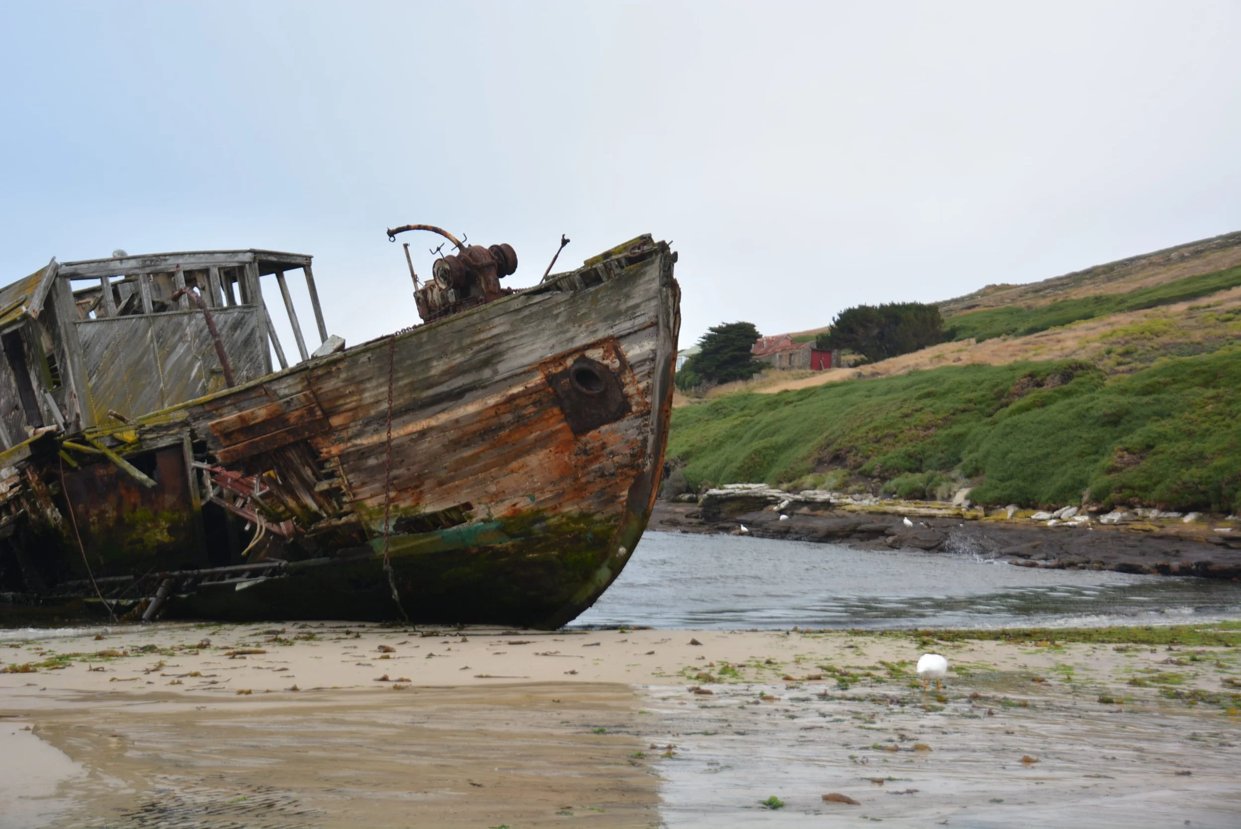 DSC_9758.jpg