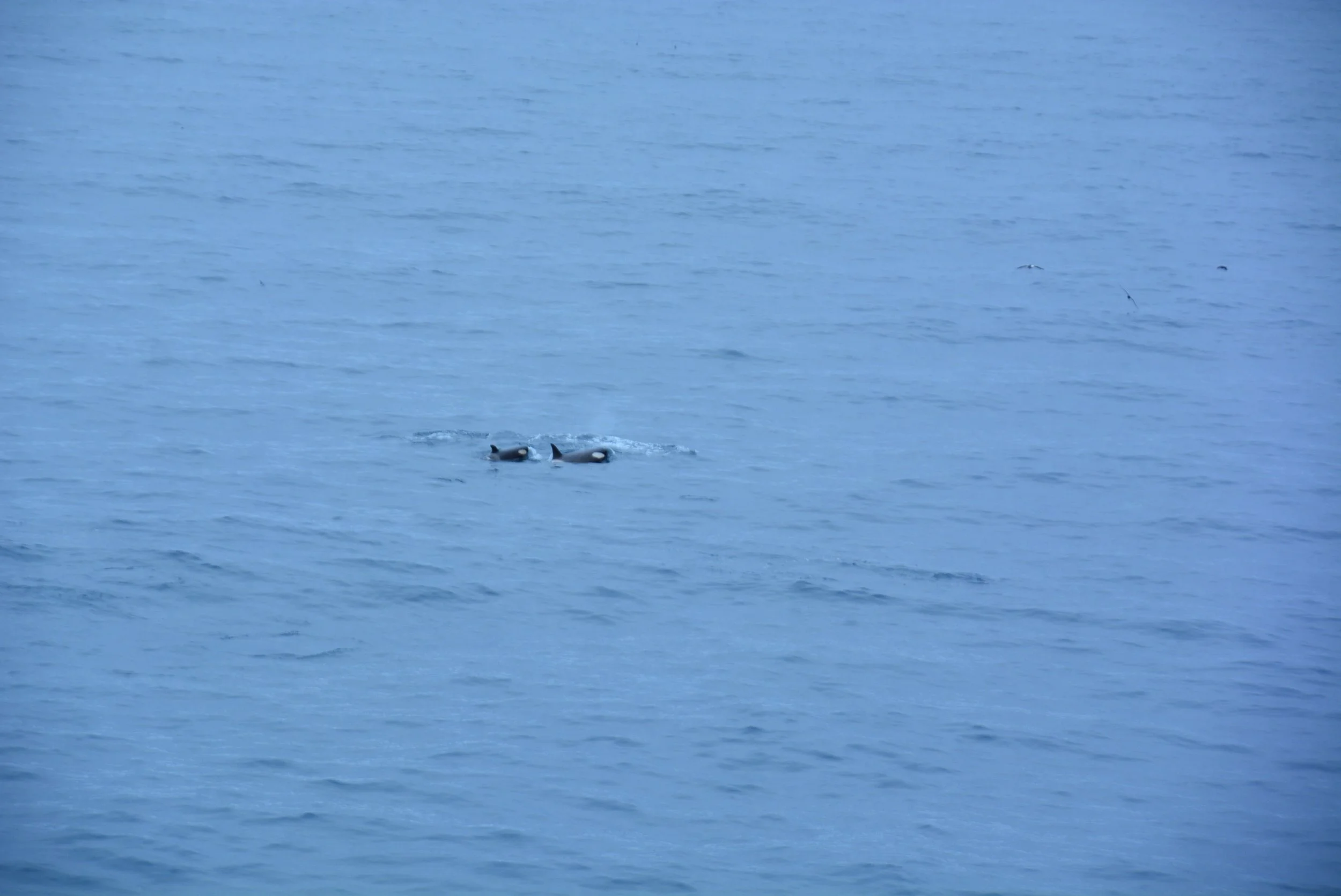 DSC_0469.jpg