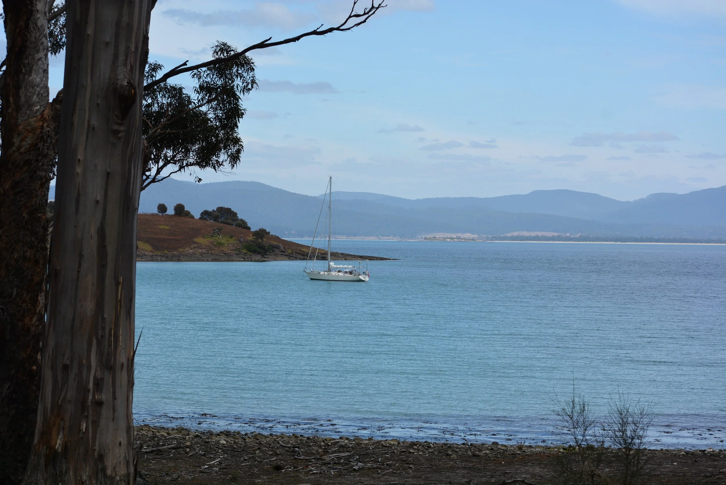 DSC_8145.jpg
