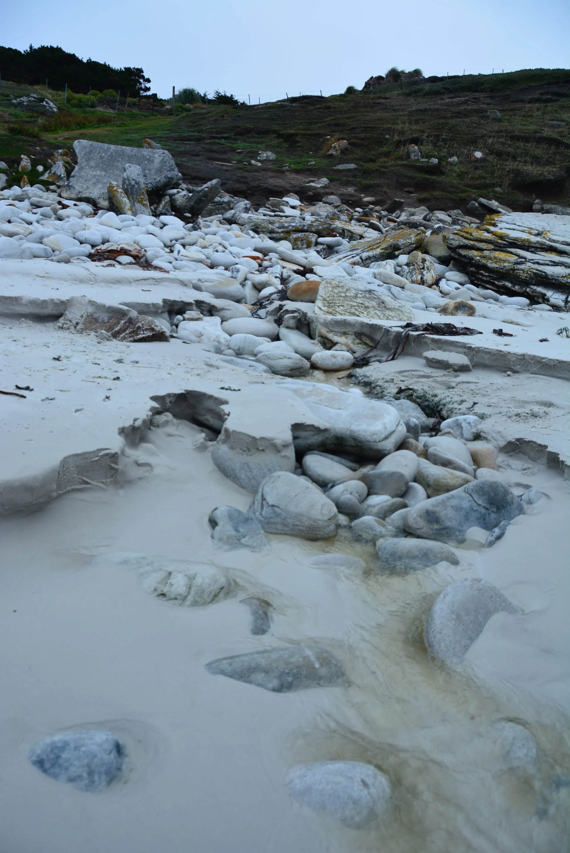DSC_9933.jpg