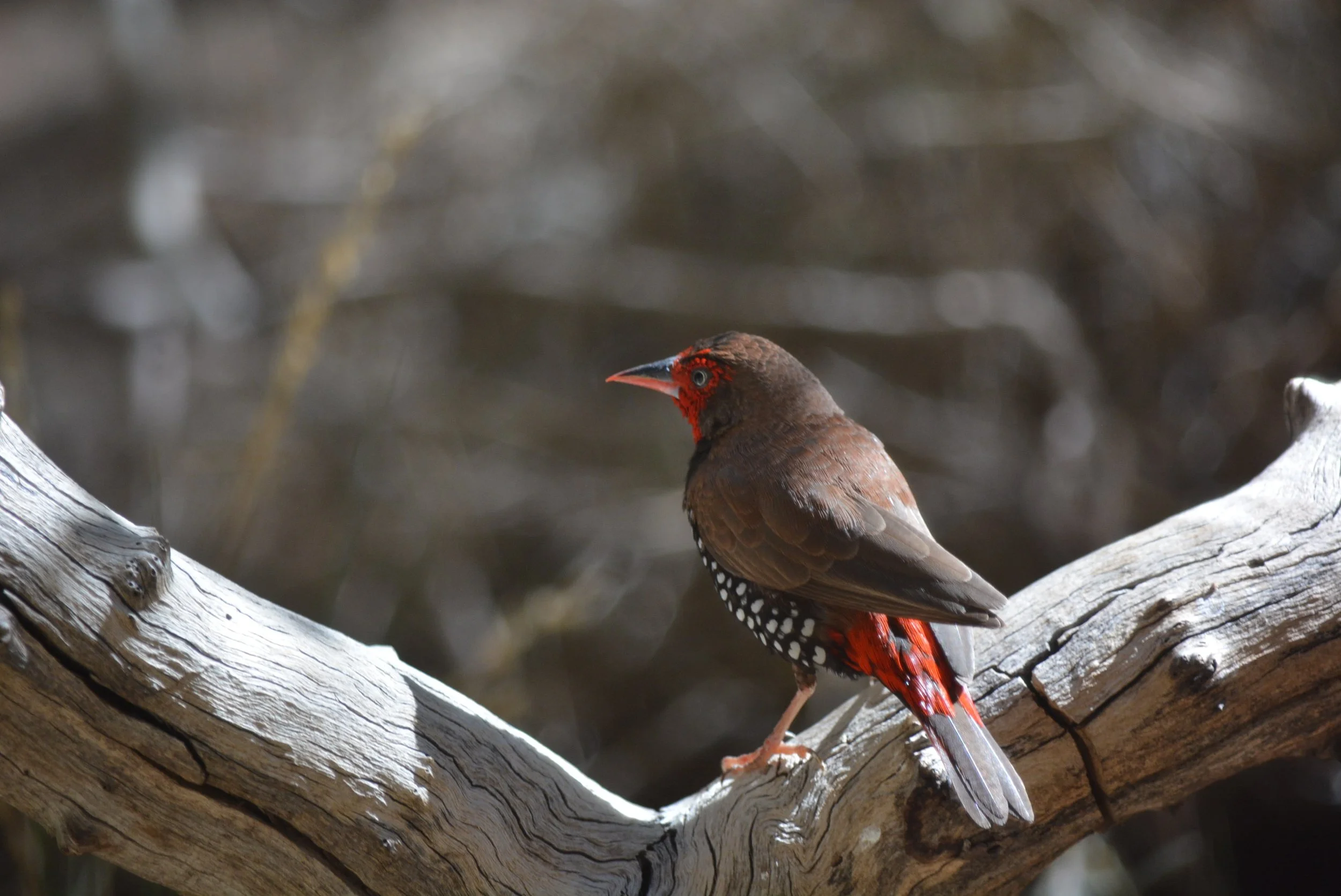 DSC_7546.jpg