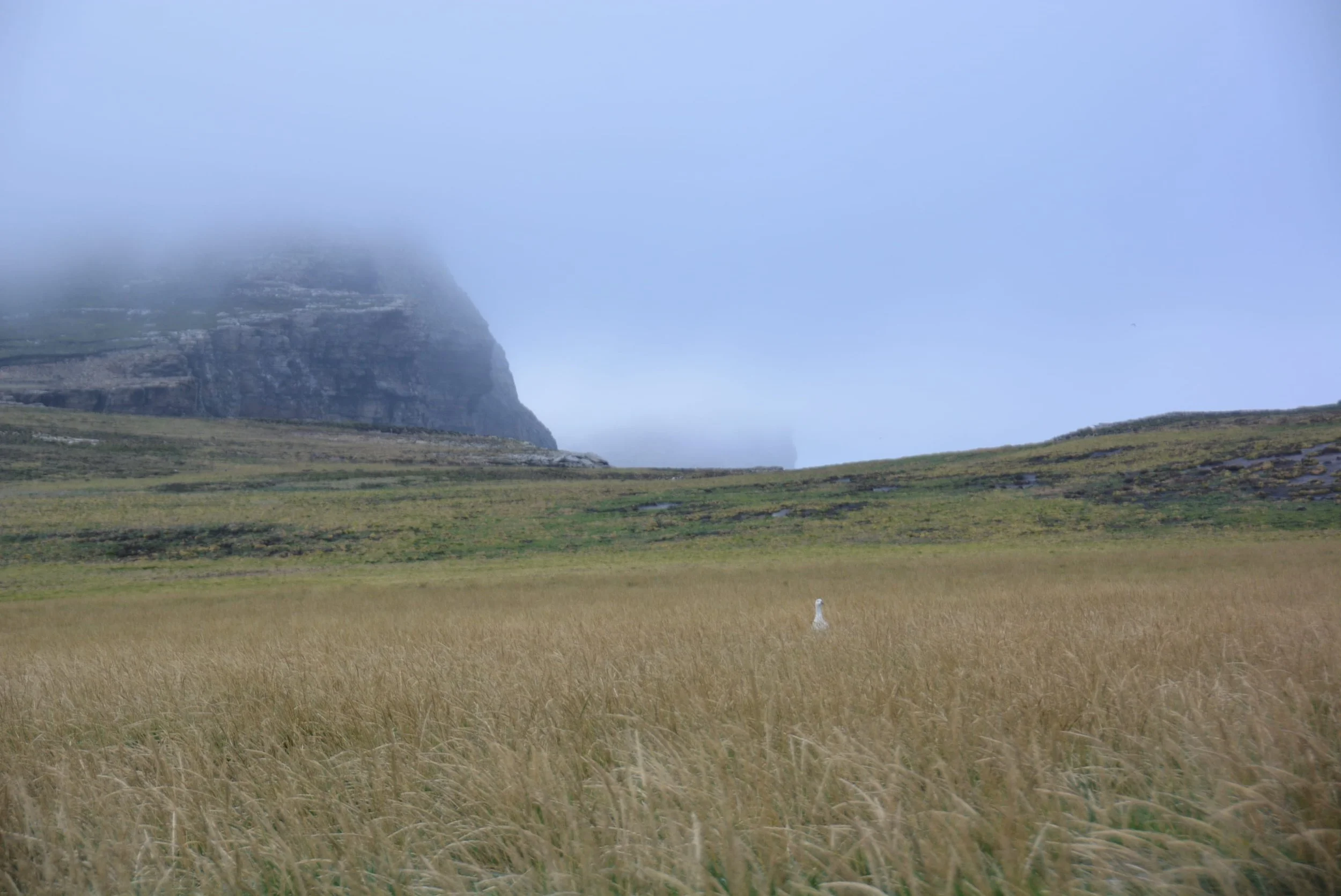 DSC_9877.jpg