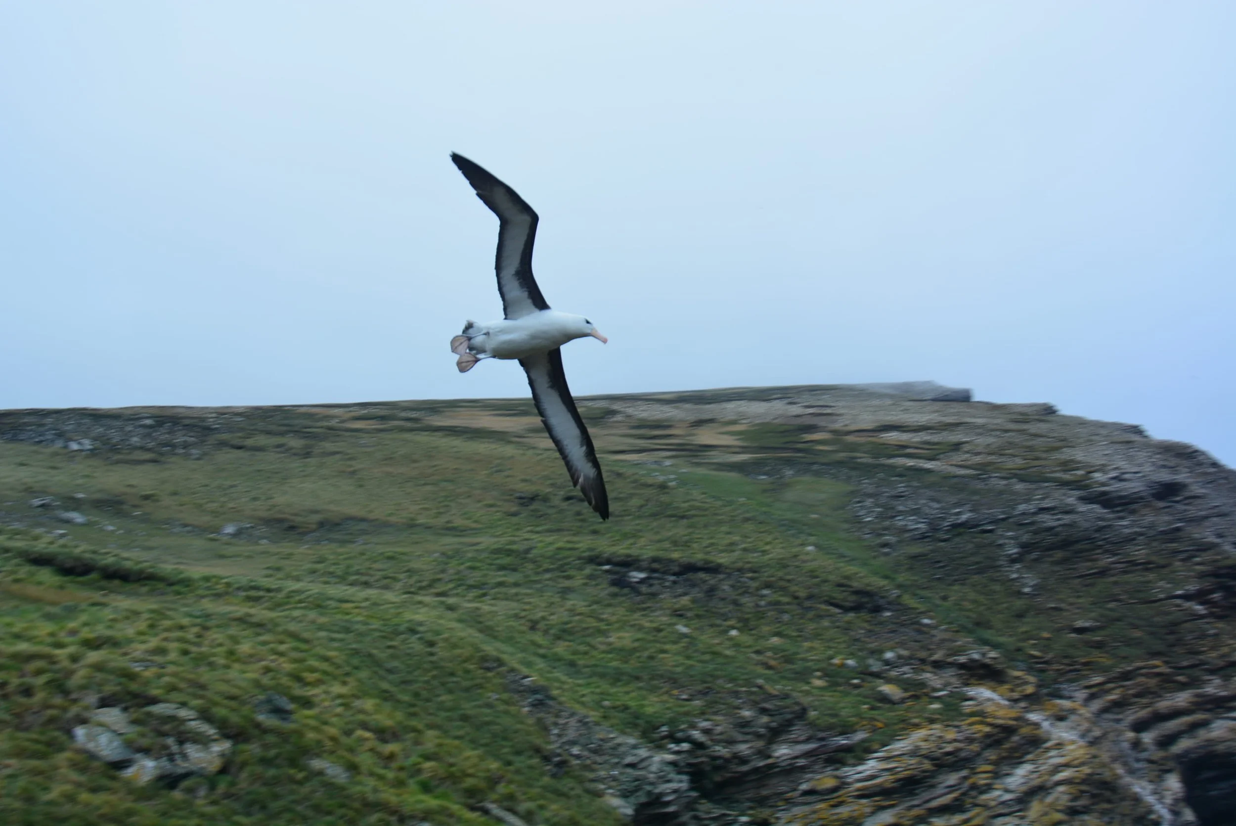 DSC_0039.jpg