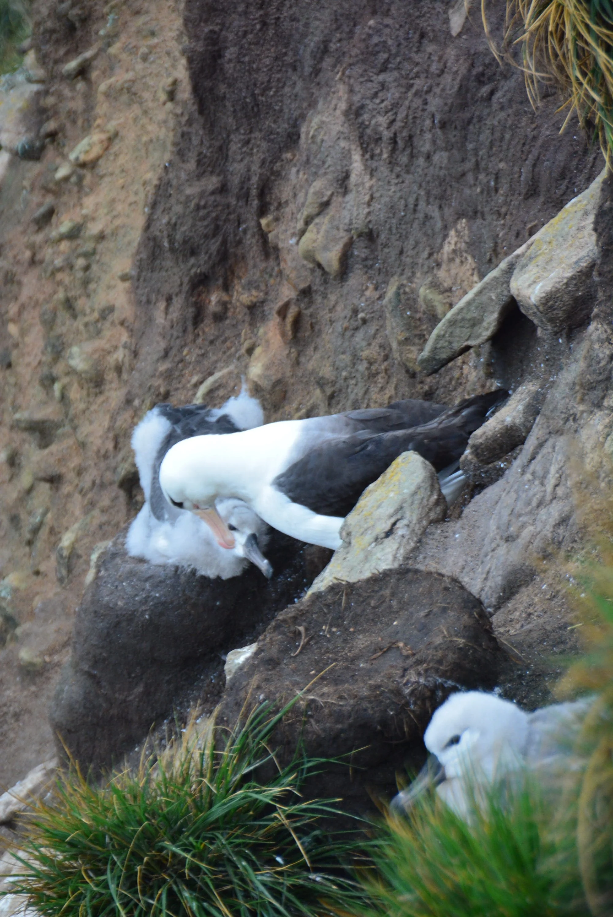 DSC_0022.jpg