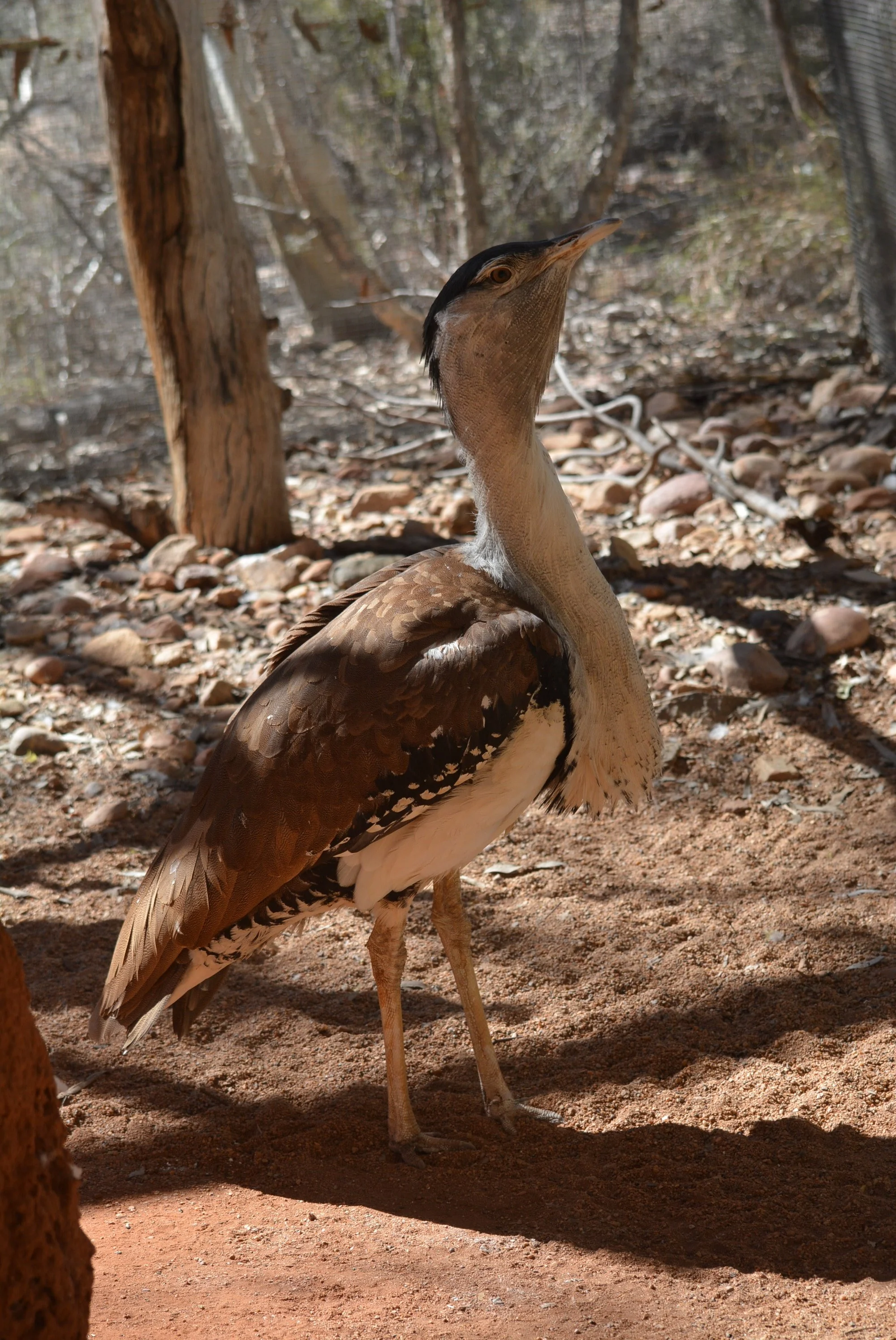 DSC_7541.jpg