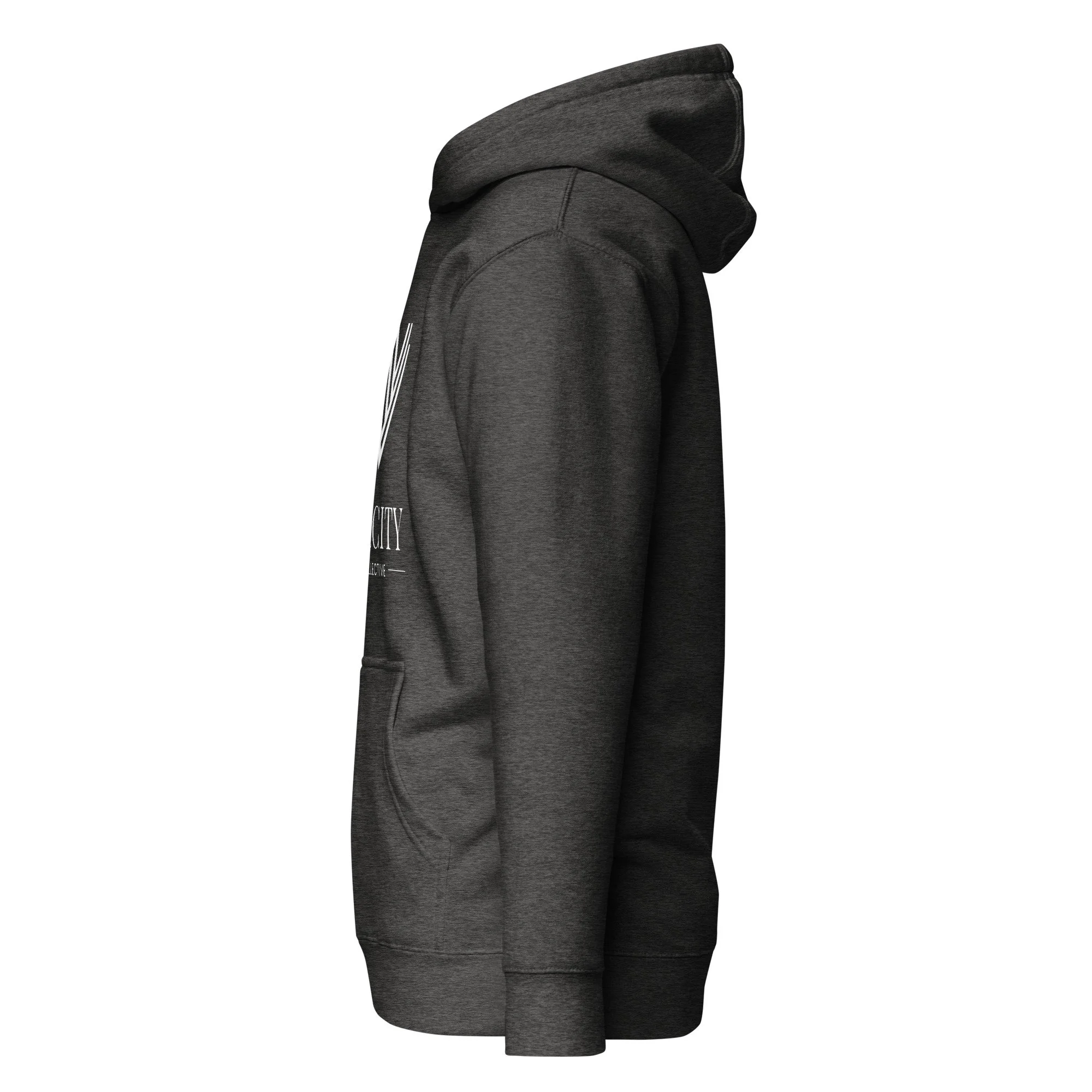 unisex-premium-pullover-hoodie-charcoal-heather-left-6ab2f7606e386.jpg