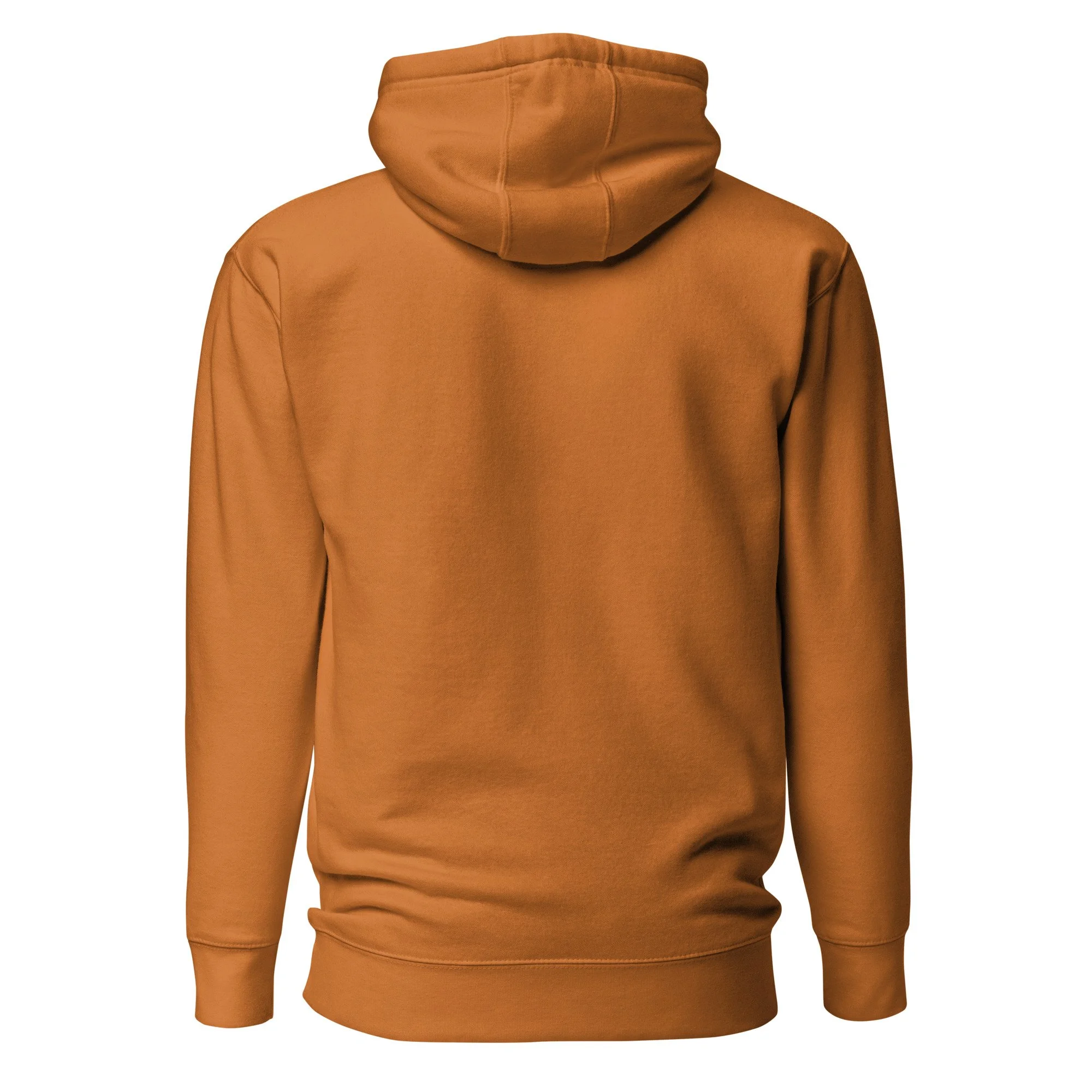 unisex-premium-pullover-hoodie-adobe-back-6ab2f7606ded7.jpg