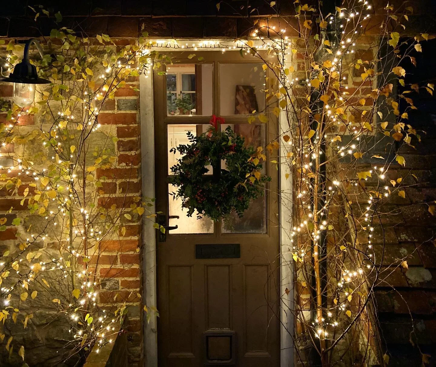 Feeling festive 🎄