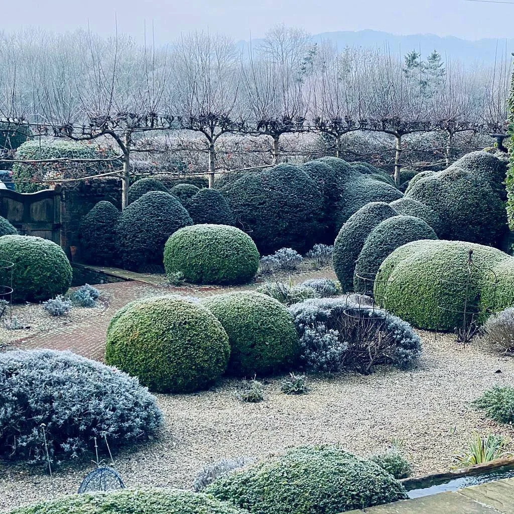 Gorgeous frosty mornings and evenings