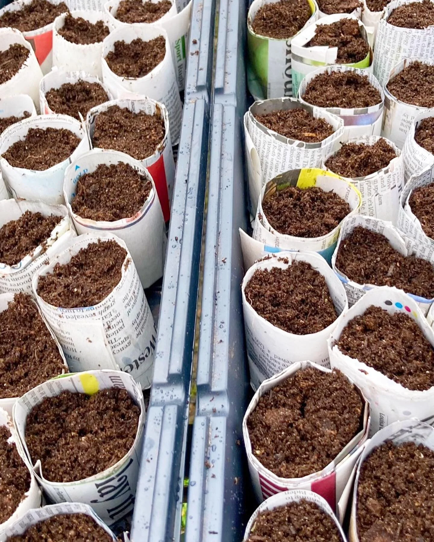 Very therapeutic&nbsp;&nbsp;.. paper pot making and green and gorgeous seeds to sow 🌱#paperpots #greenandgorgeous