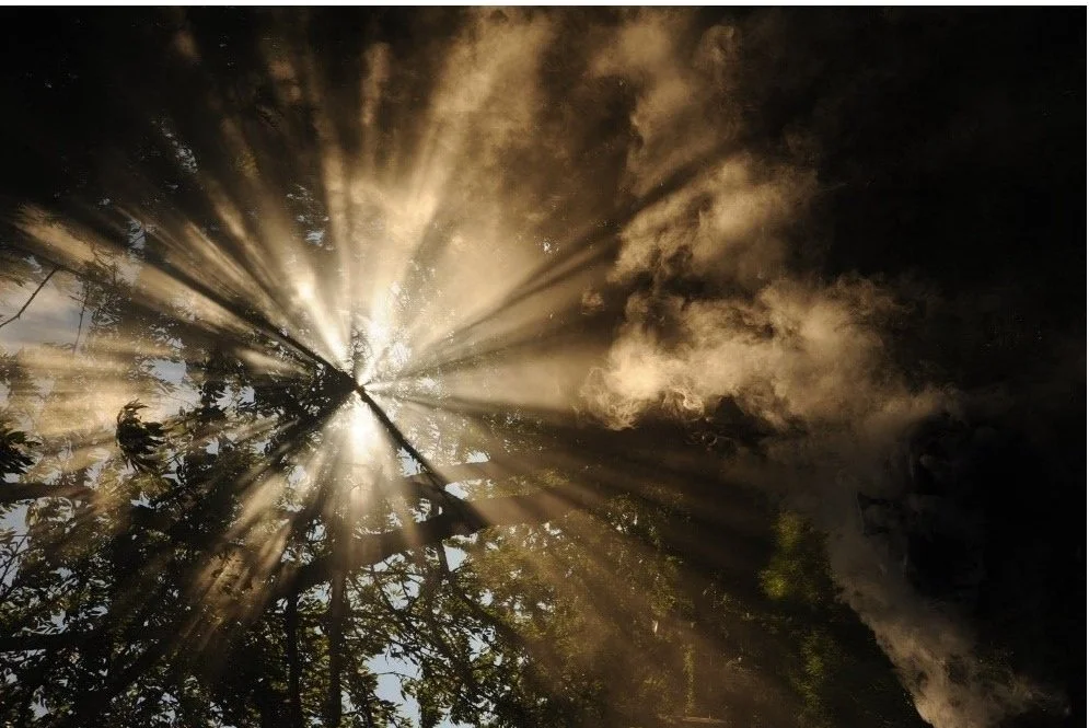 Acknowledging Eco-Grief &amp; Anxiety: Navigating the Difficult Thoughts and Emotions of Environment Students