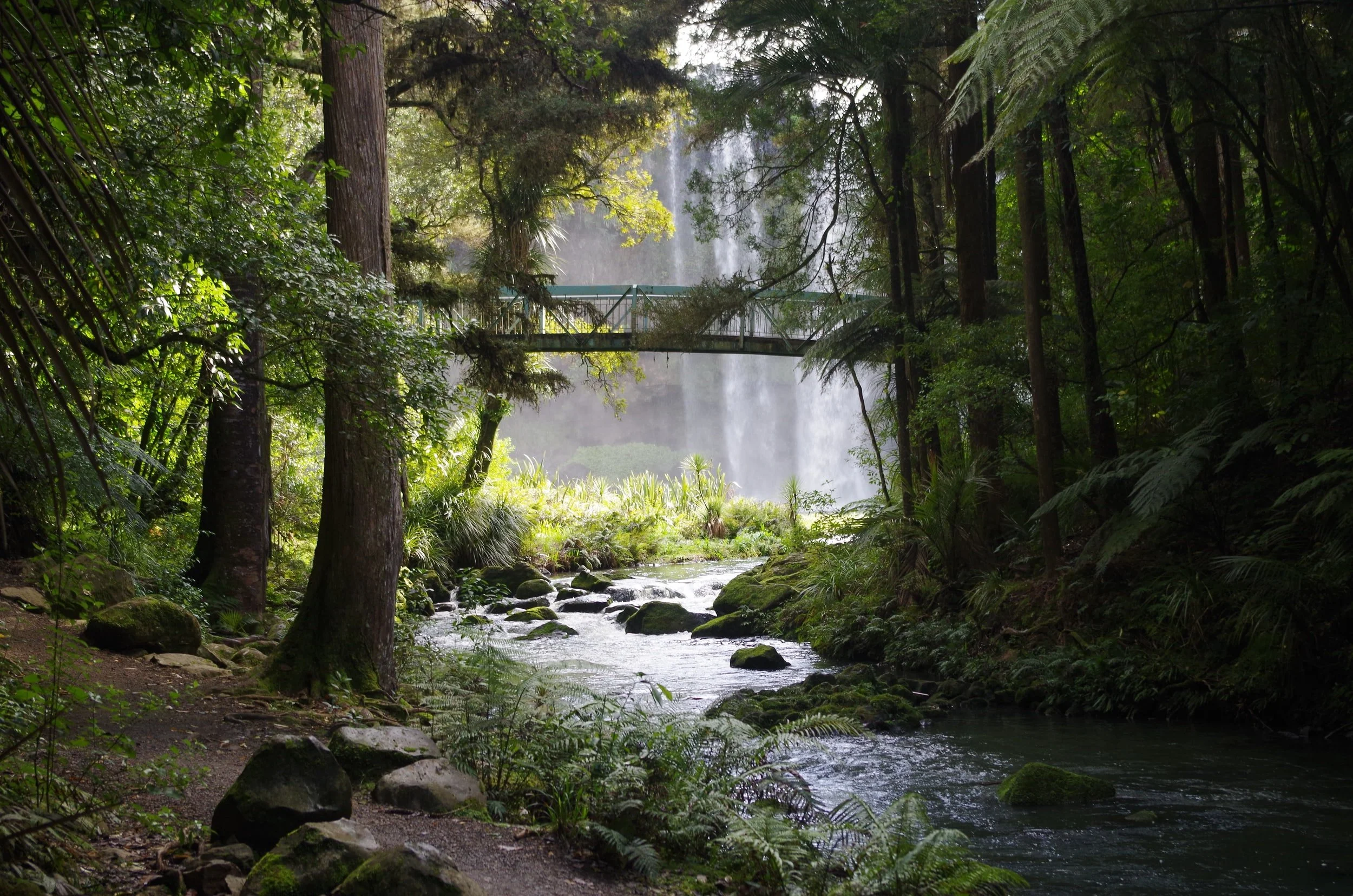The Rights of Nature: The Fight for Legal Personhood