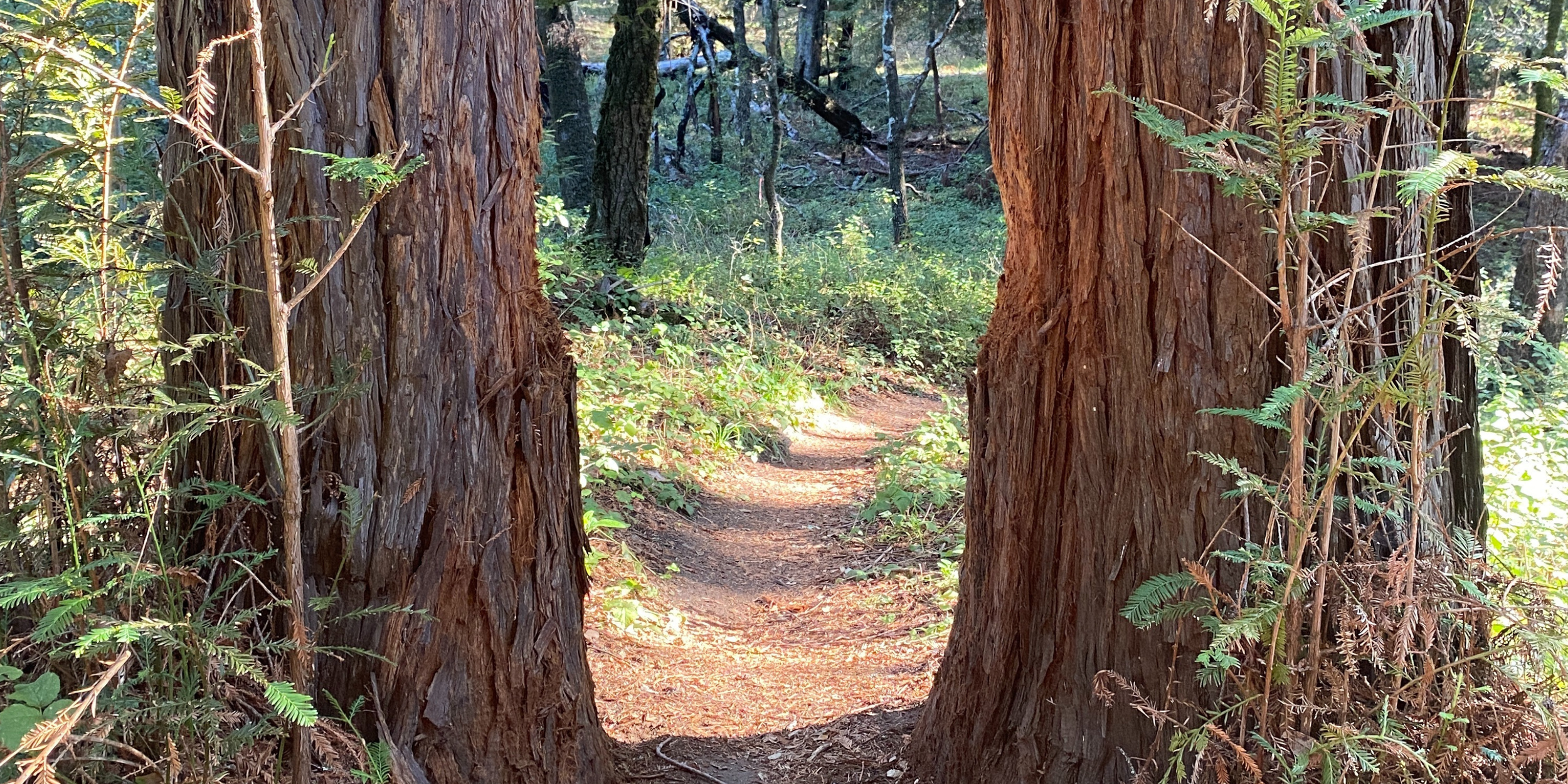 A Sense of Place