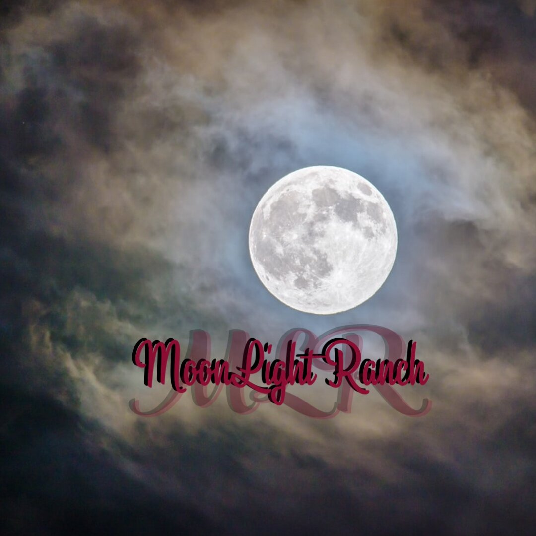 Moonlight Ranch Menu Moonlight Ranch Speisekarte , Speisekarte Moonlight in Magdeburg – QKZIZV